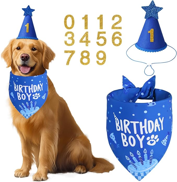 Agroon Blue Dog Birthday Party Supplies with Hat Bandana Numbers