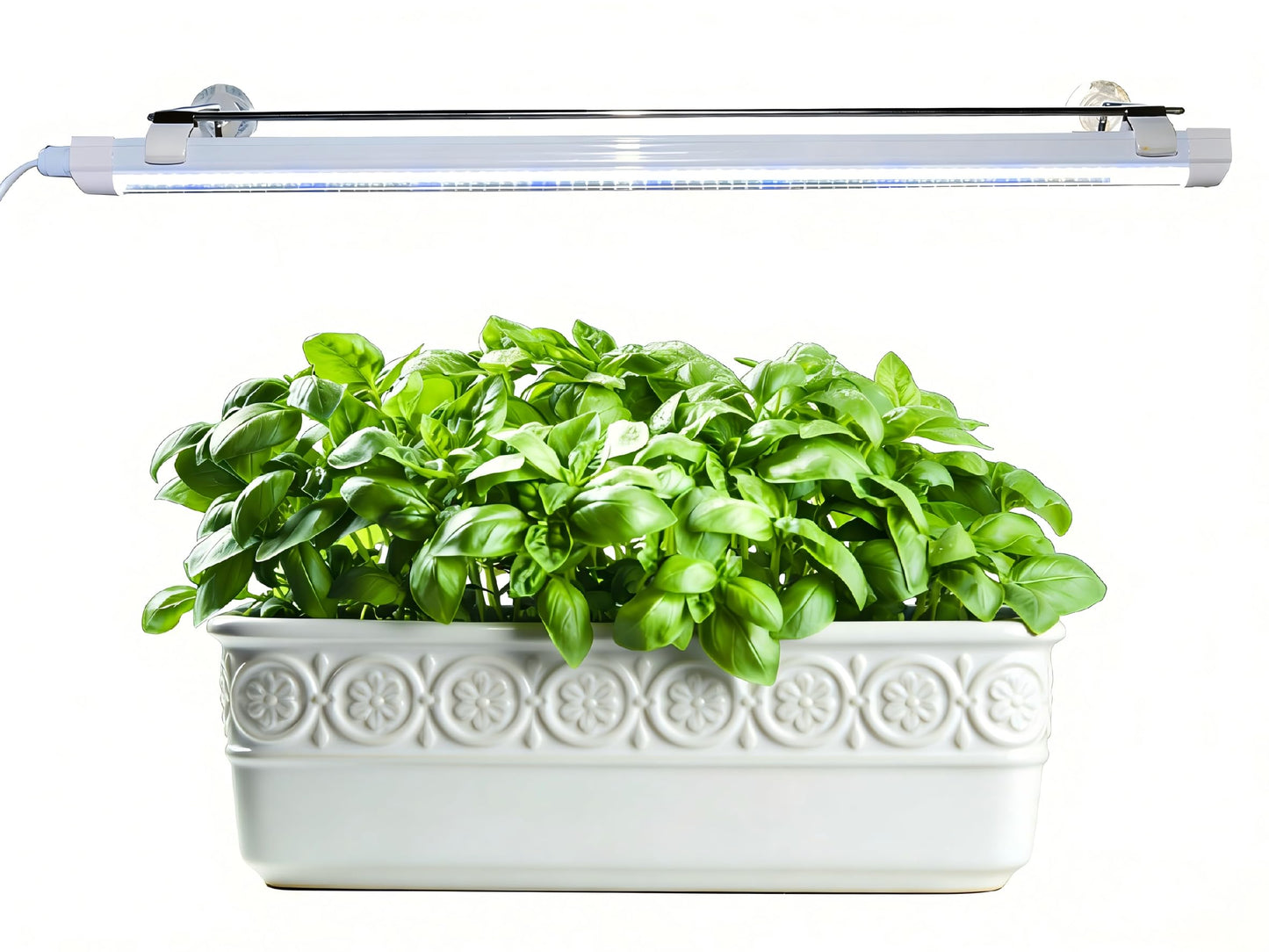 PROTOPIA 2FT Suction Cup Style Plant Grow Light,12W, LED Grow Lamp Fixture on Wall, Seed Starter kit, 6500K Cool White, Enhanced Blue Light, Height Adjustable, Herbs Growing lamp, IP54