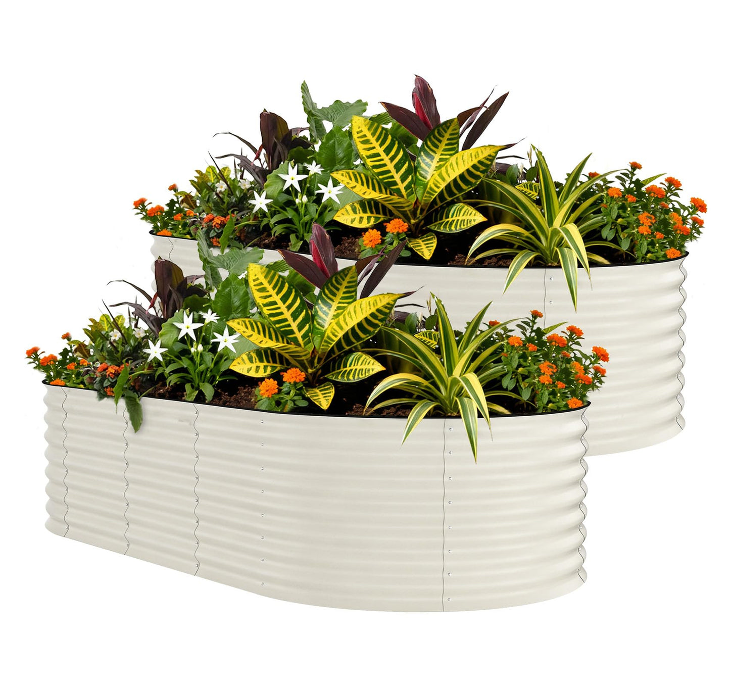 Garvee 2 Pack 10x4x1.5ft Galvanized Raised Garden Bed Kit, Oval Metal Planter Boxes with Anti-Cut Safety Edges, Rust-Resistant Deep Root Planters for Outdoor Vegetables, Flowers, Herbs, Beige
