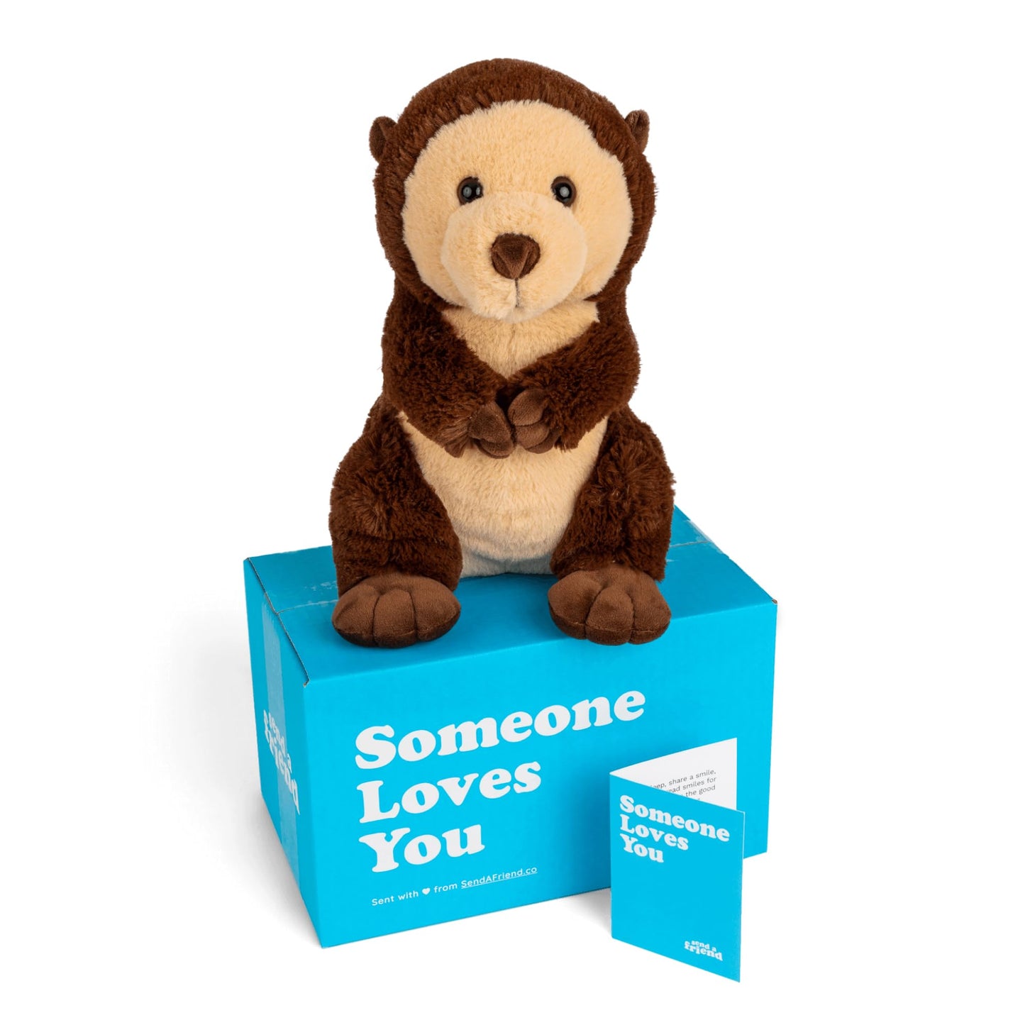 SendAFriend Oliver The Otter Stuffed Animal Care Package, Someone Loves You Box, Great Gift for Any Reason (Love You Notecard)