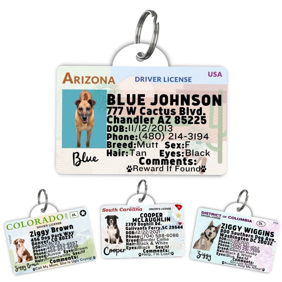 Dog Tags Personalized, Dog ID License Tag for Pets (Washington, Tag)
