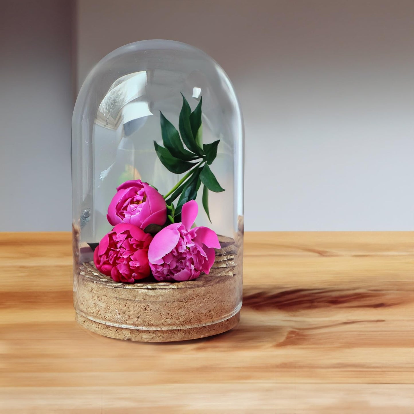 LIOOBO Glass Cloche Bell Jar with Cork Base, Tiny Display Dome for Eternal Flower And Micro Landscape, Clear Terrarium Container Bulk 5 Pack