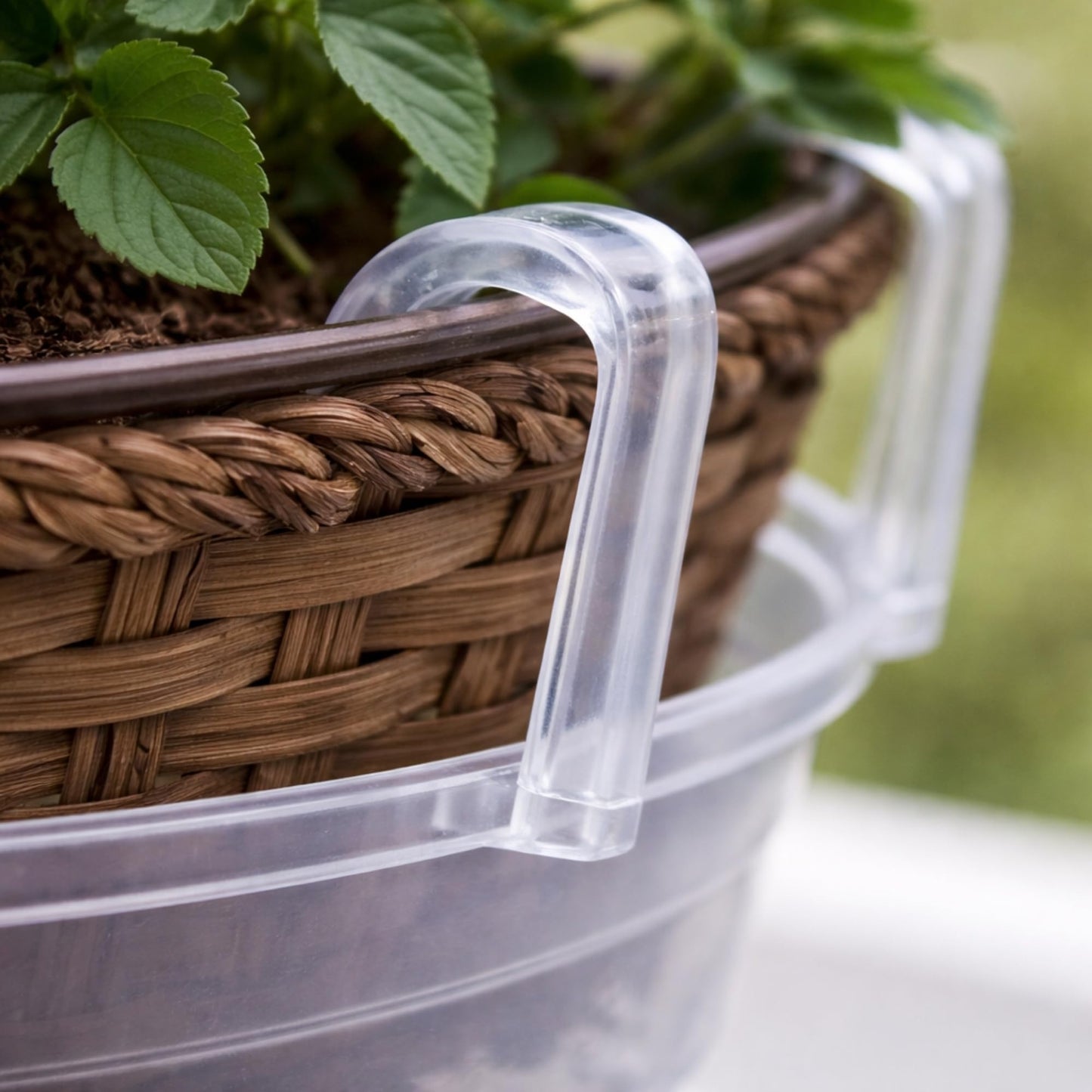 Curtis Wagner 10" Clear Hanging Basket Drip Pan Saucer (15-Pack)