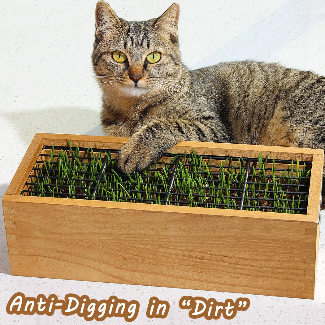 BENPIN Wooden Cat Grass Planter (no Seeds Included) with Potting Soil Disks, Anti-Digging Grid and Removable Plastic Liner, Wheat Grass Growing Pot, Cat Grass Kit for Indoor Cats Pets (Aged Yellow)