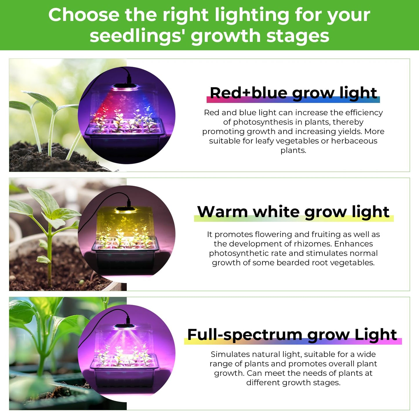 Seed Starter Tray with Grow Light, 6pcs Seed Starter Kits with Light and Humidity Domes, Timing Controller & Adjustable Brightness & 3 Light Mode, Indoor Seedling Starter Plant Germination Trays