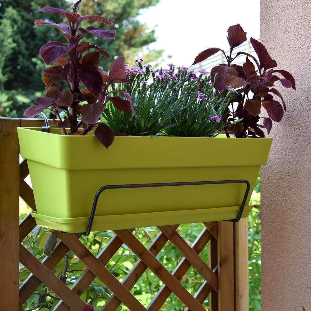 Louis Moulin Classic Flower Box Stand 35 x 18 cm Anthracite