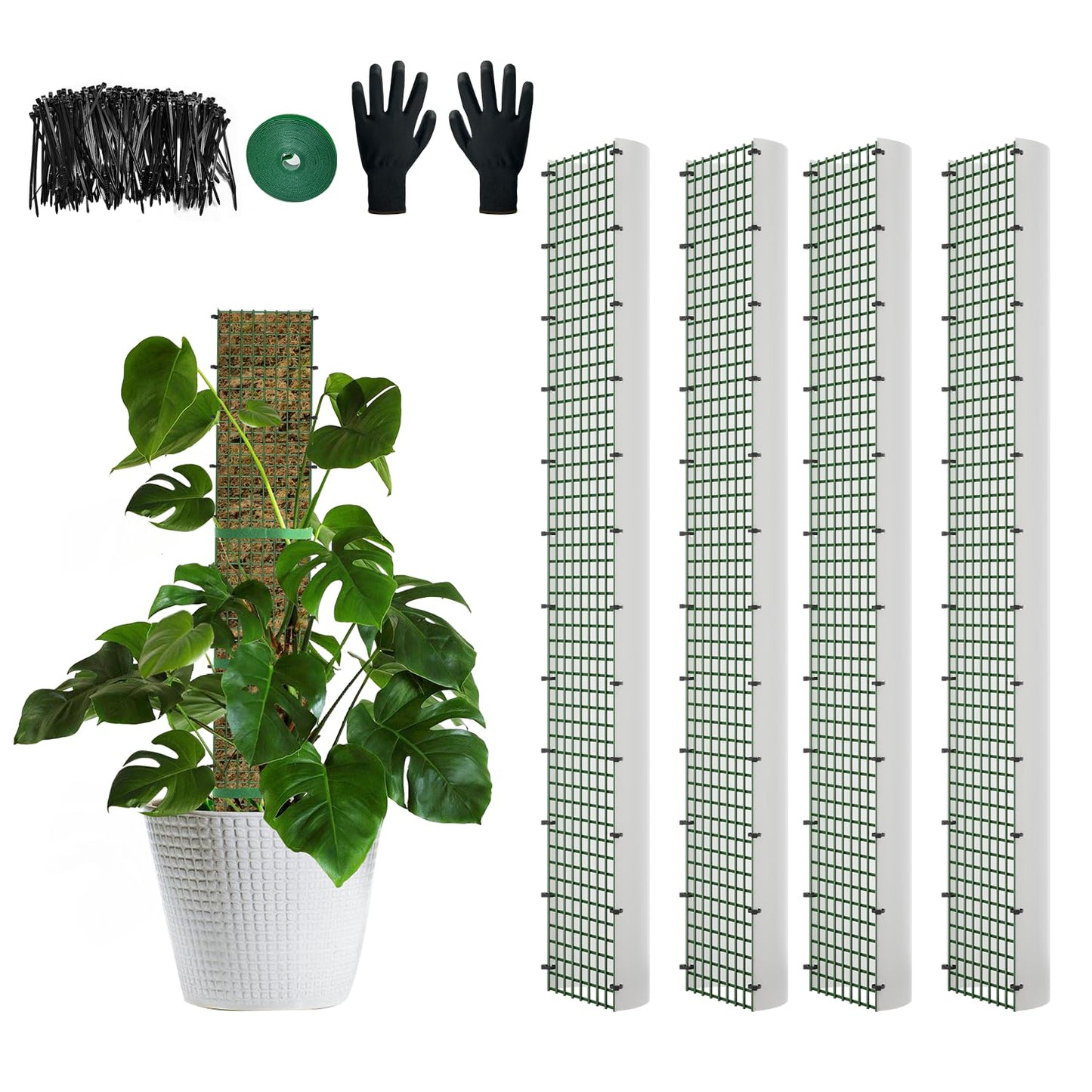 HOLANHING 60"/40"/24" Metal Moss Pole, D Shape Sphagnum Moss Pole, Moss Poles for Climbing Plants, Monstera, Indoor Climbing Plants(4Pcs 40")