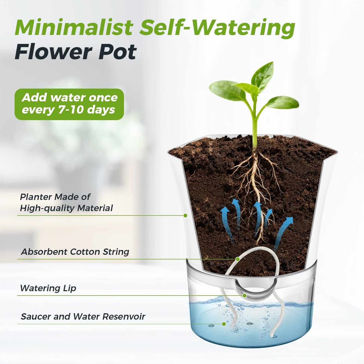 10-Pack 4.33" Clear Self Watering Pots for Indoor Plants Large Hexagon Self-Watering Planters Orchid Pots Plastic Wick Flower Plant Pots for African Violet, Spider, Herbs, Home Decor, White and Clear