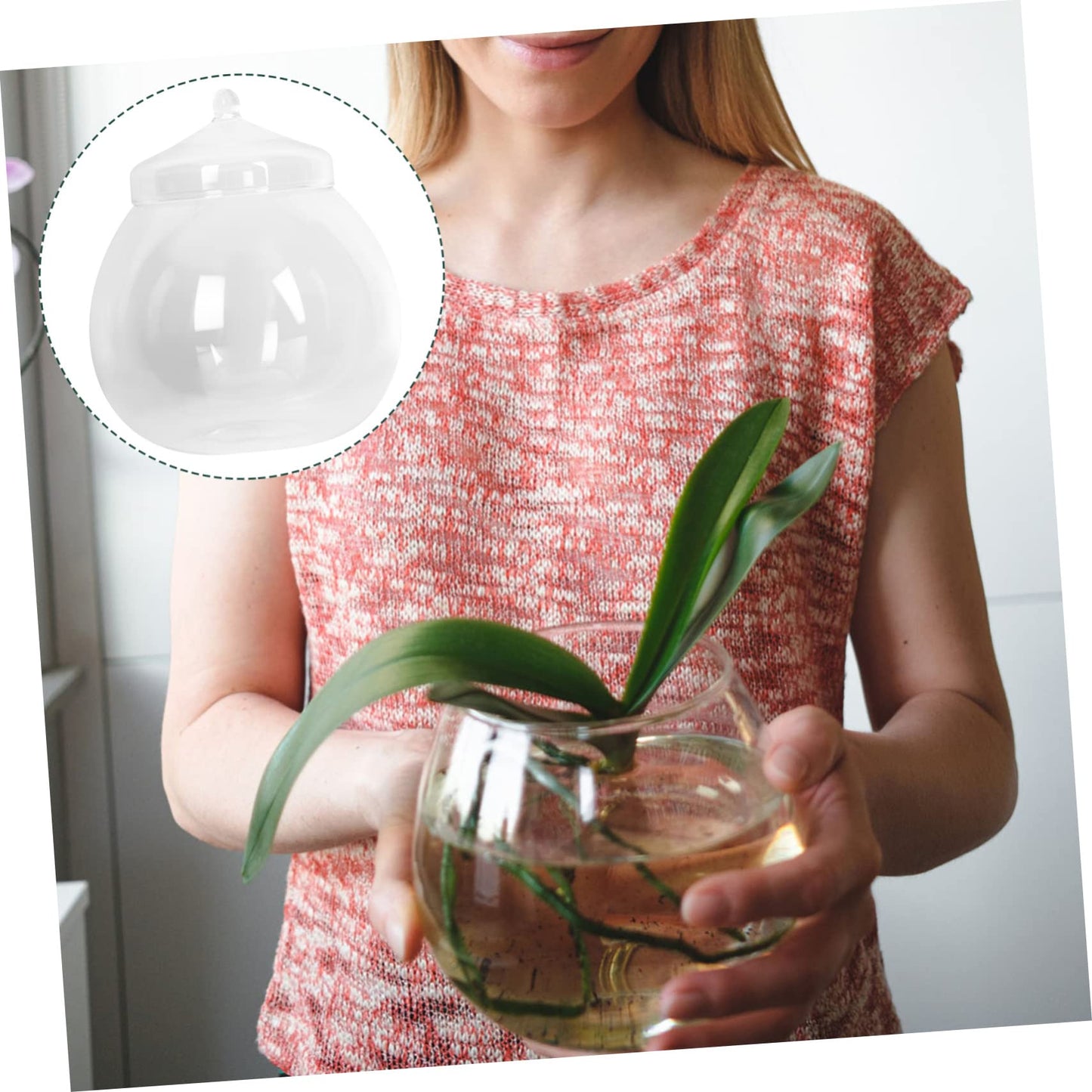 1Set Micro Landscape Bottle for DIY Terrarium Crafts Glass Eco Bottle with Style Lid Indoor Home Decor Creative Plant Display for Moss Miniature