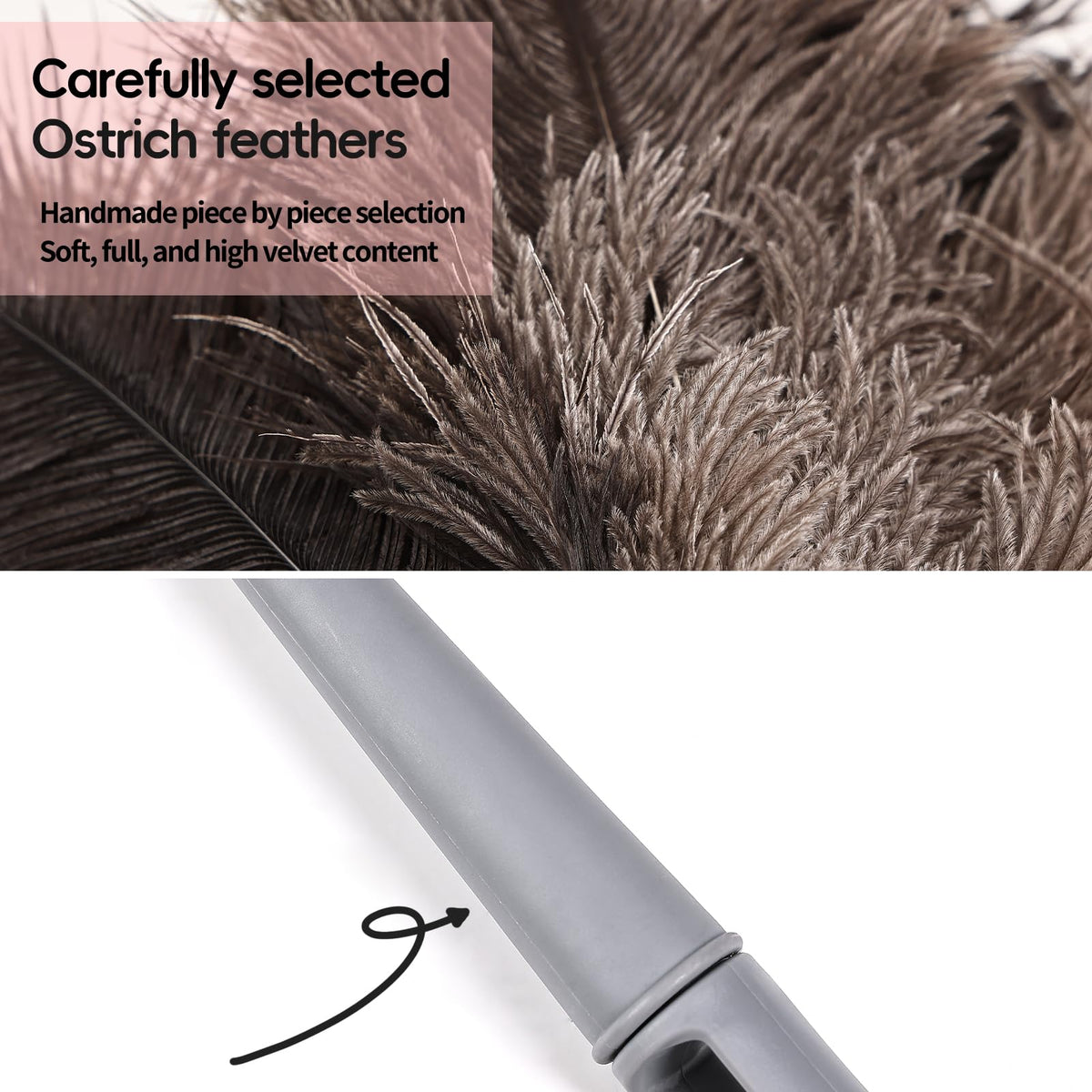 Feather Duster (2 Count)