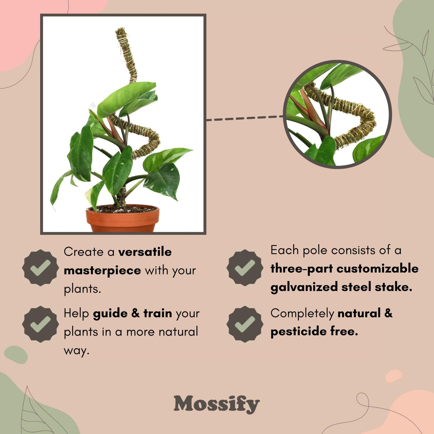 Mossify Bendable Moss Pole for Monstera 3 Pack (16" / 30" / 42") – Flexible Moss Pole Stakes for Indoor Plants – Premium Forest Moss with 3-Prong Stake System – Indoor & Outdoor Plant Trellis Set