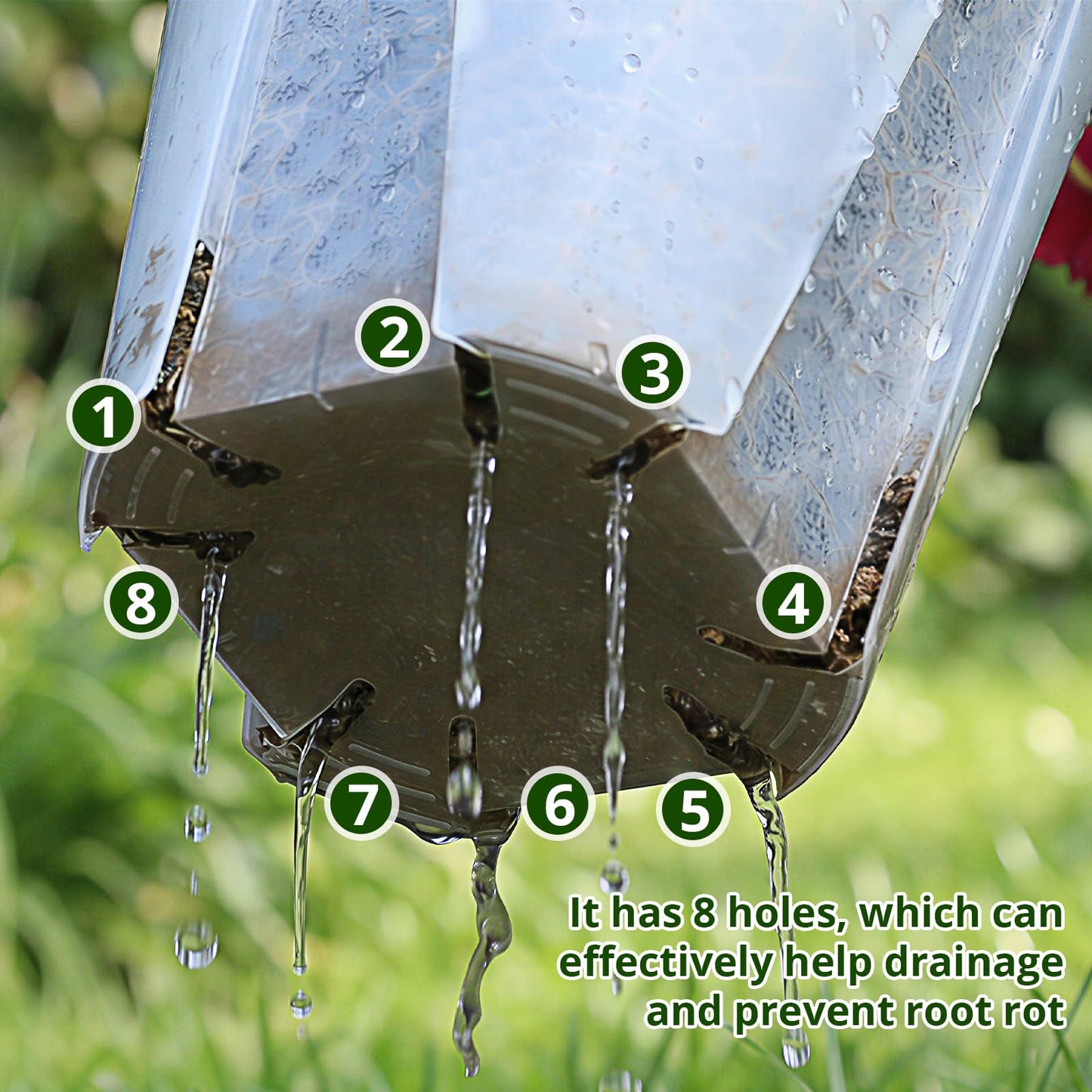 THMFHMW 6/8/10/12 Inch Large Clear Nursery Deep Pots with Drainage Hole 12 Pack, Deep Plant Pots with Drainage for Seedling Flower Vegetable, Ideal for Hyacinths, Amaryllis, Reusable Deep Pots