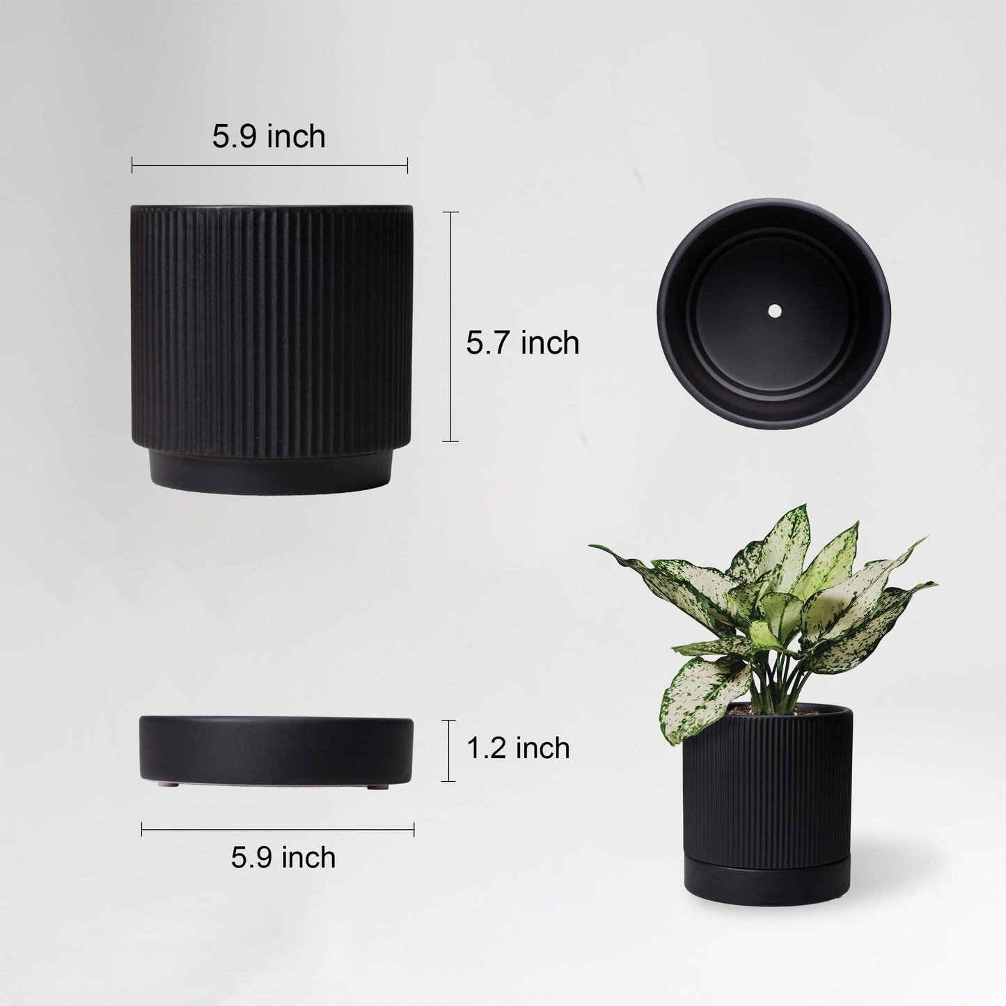 HERDUK 6 Inch Ceramic Plant Pot with Drainage & Saucer - Indoor Planter for Succulents, Cacti & Aloe Vera - Striped Design, High-Temp Fired Clay, Lightweight Modern Decor