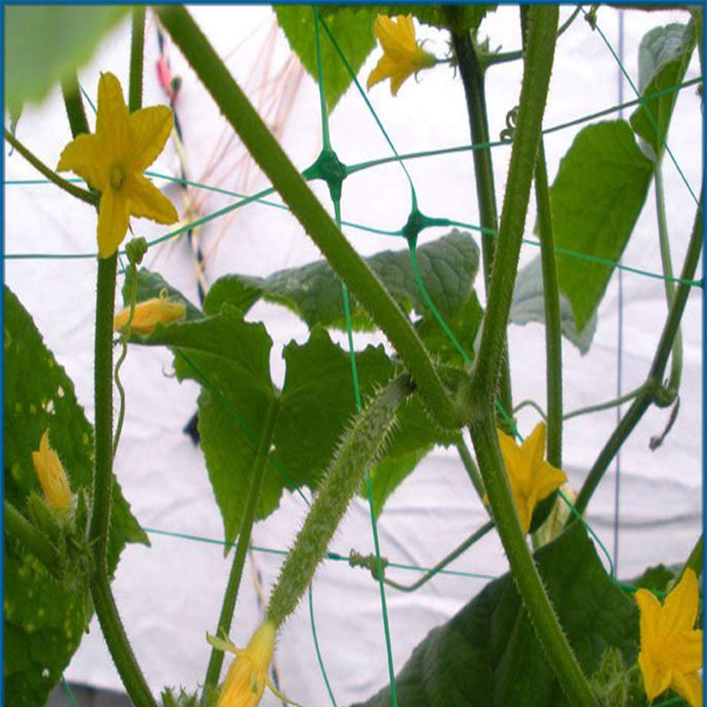 HHTHH Green Trellis Netting 4x100 ft Heavy Duty Garden Netting Polypropylene Plant Support Net for Climbing Vegetables Fruits Flowers