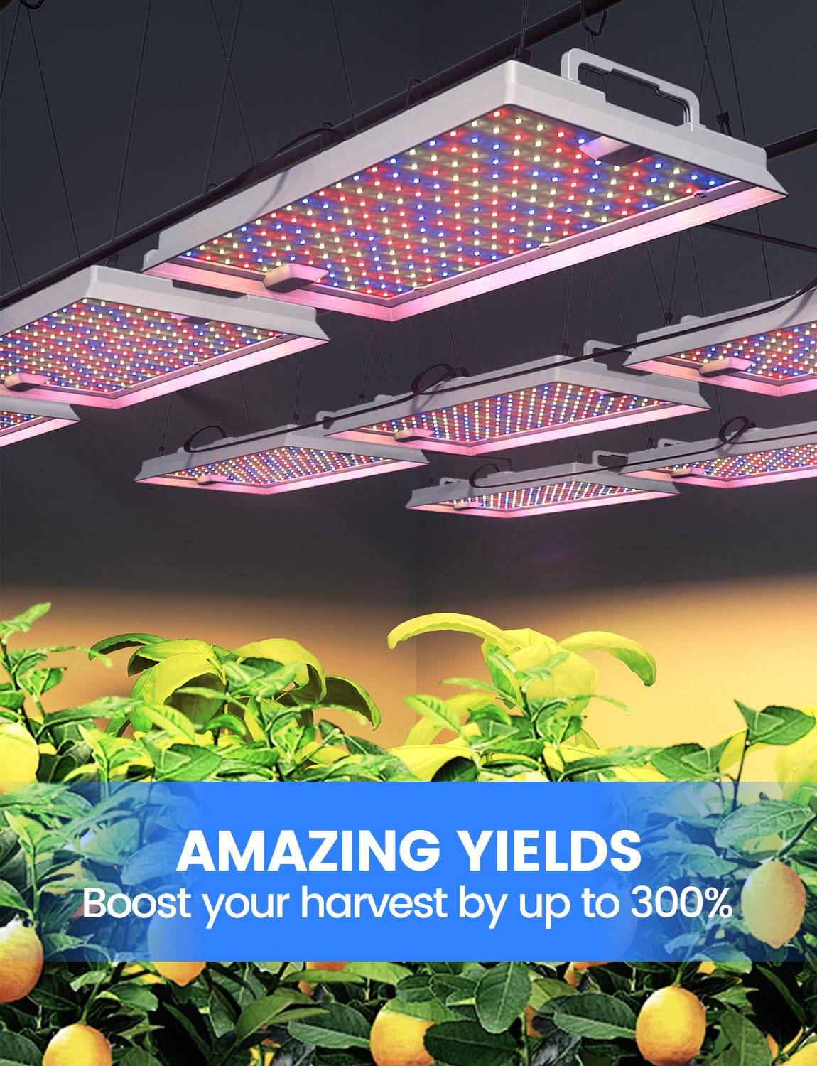 MetryGrow Plant Grow Light, [Smart APP & Expansive 2x3 Ft Coverage] Genuine 100W Output LED Full Spectrum for Indoor Plants, 8-Level Brightness, Hanging Use with Remote Control（Hanging Use）