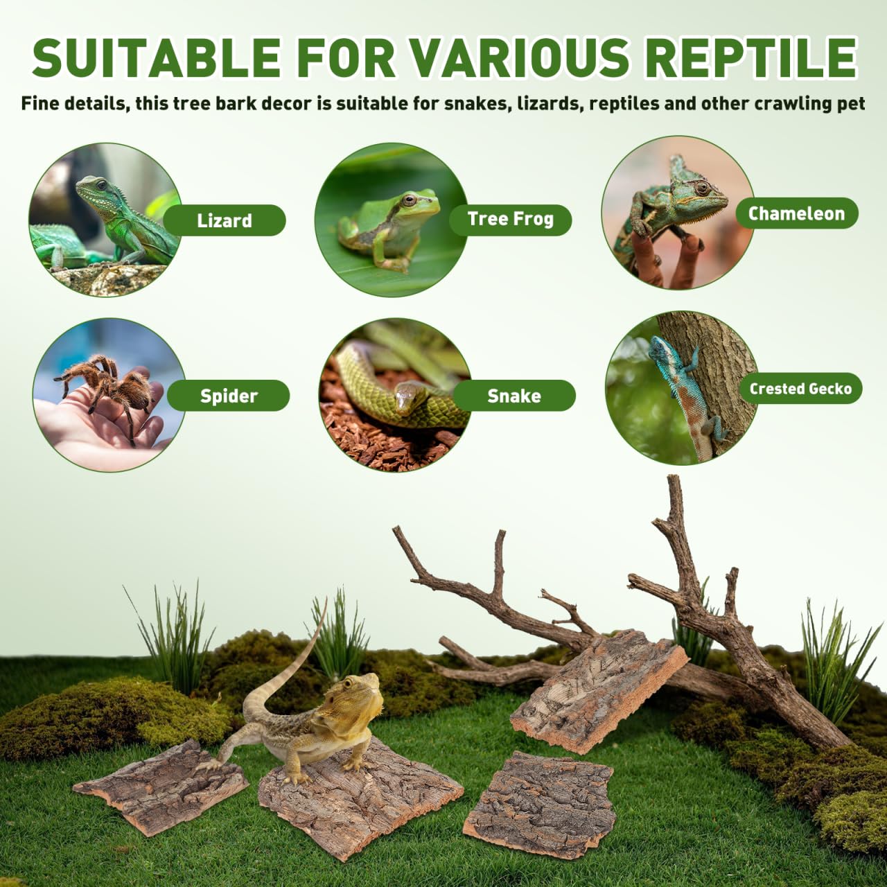 BESPORTBLE Reptile Tree Bark Hides: 4Pcs Natural Wood for Leopard Gecko Terrarium Decor, Enclosure Habitat Breeding Slabs Climbing Shelter