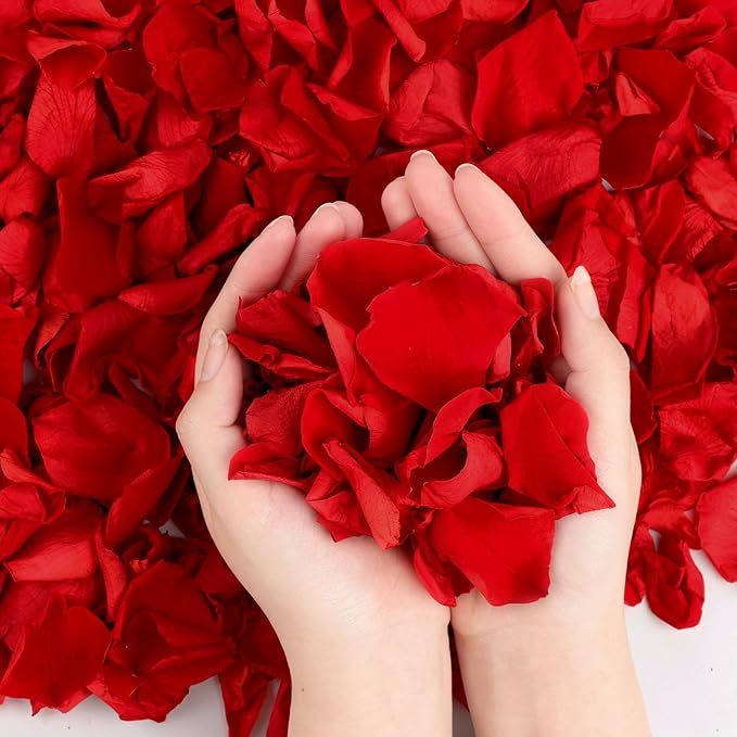 240 PCS Real Red Rose Flower Petals Confetti for Wedding Flower Girl to Throw 2.11oz Freeze Dried Rose Petal for Proposal Centerpieces BabyShower Valentine's Day Romantic Night Decor