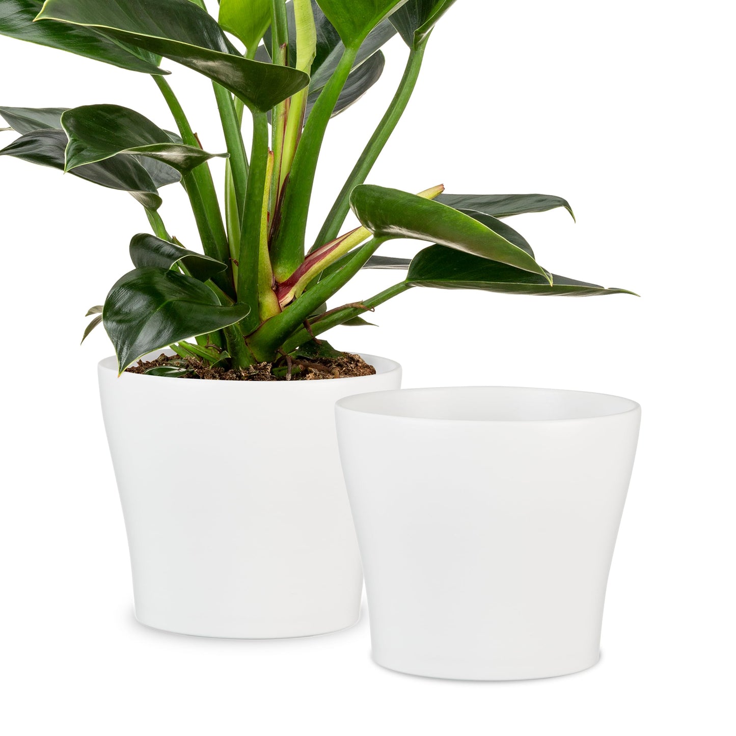 Scheurich Set of 2 Classic Panna Ceramic Plant Pots – 7.5" Decorative Pots for Indoor Plants - Waterproof&UV-Resistant Planters - Durable, Break-Resistant Design - Made in Germany - 0.8 gal