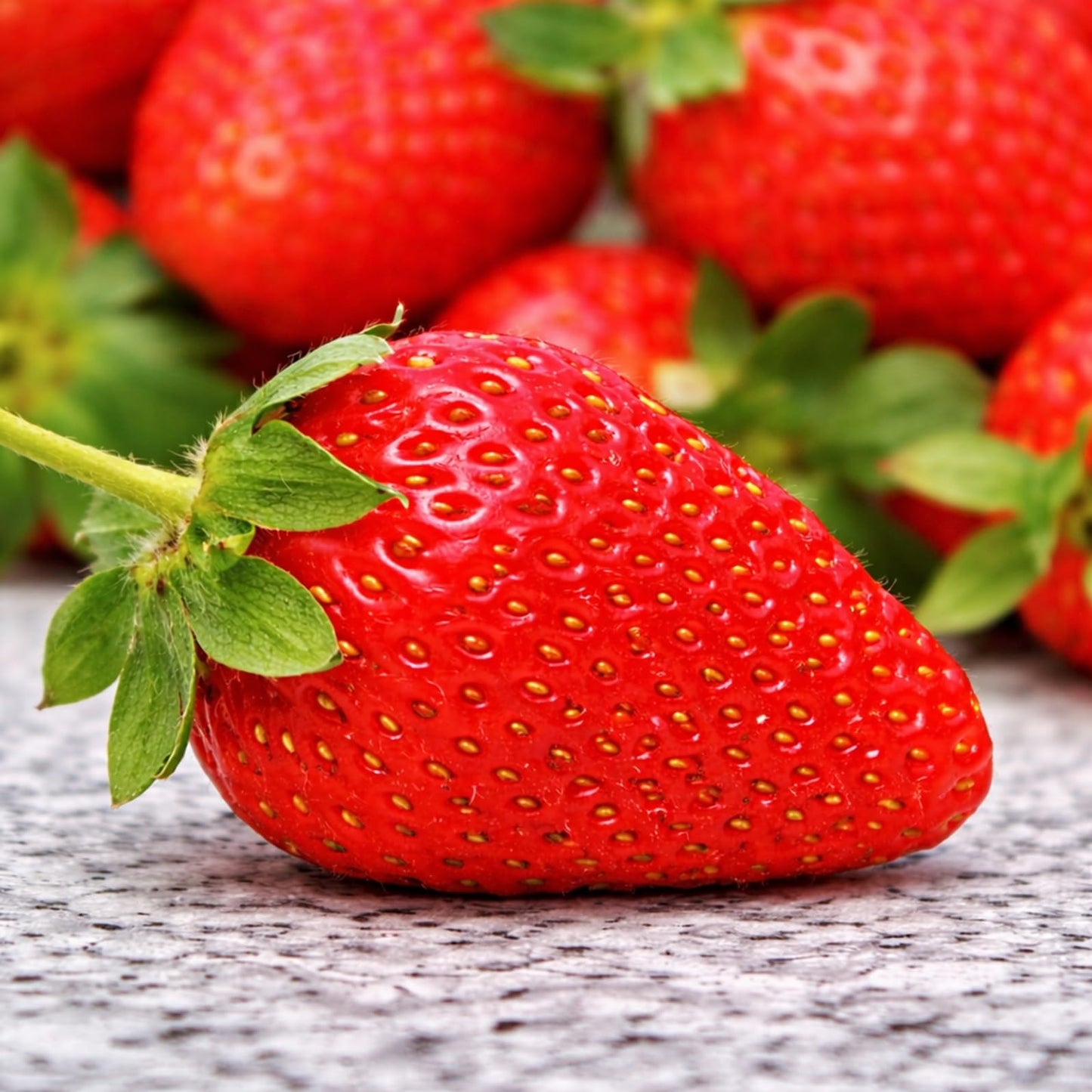 San Andreas Strawberry Plants – Day-Neutral Everbearing Strawberry Plants, High-Yield Sweet Berries, Non-GMO Live Strawberry Starts for Garden, Raised Beds, Containers (5 Plants)