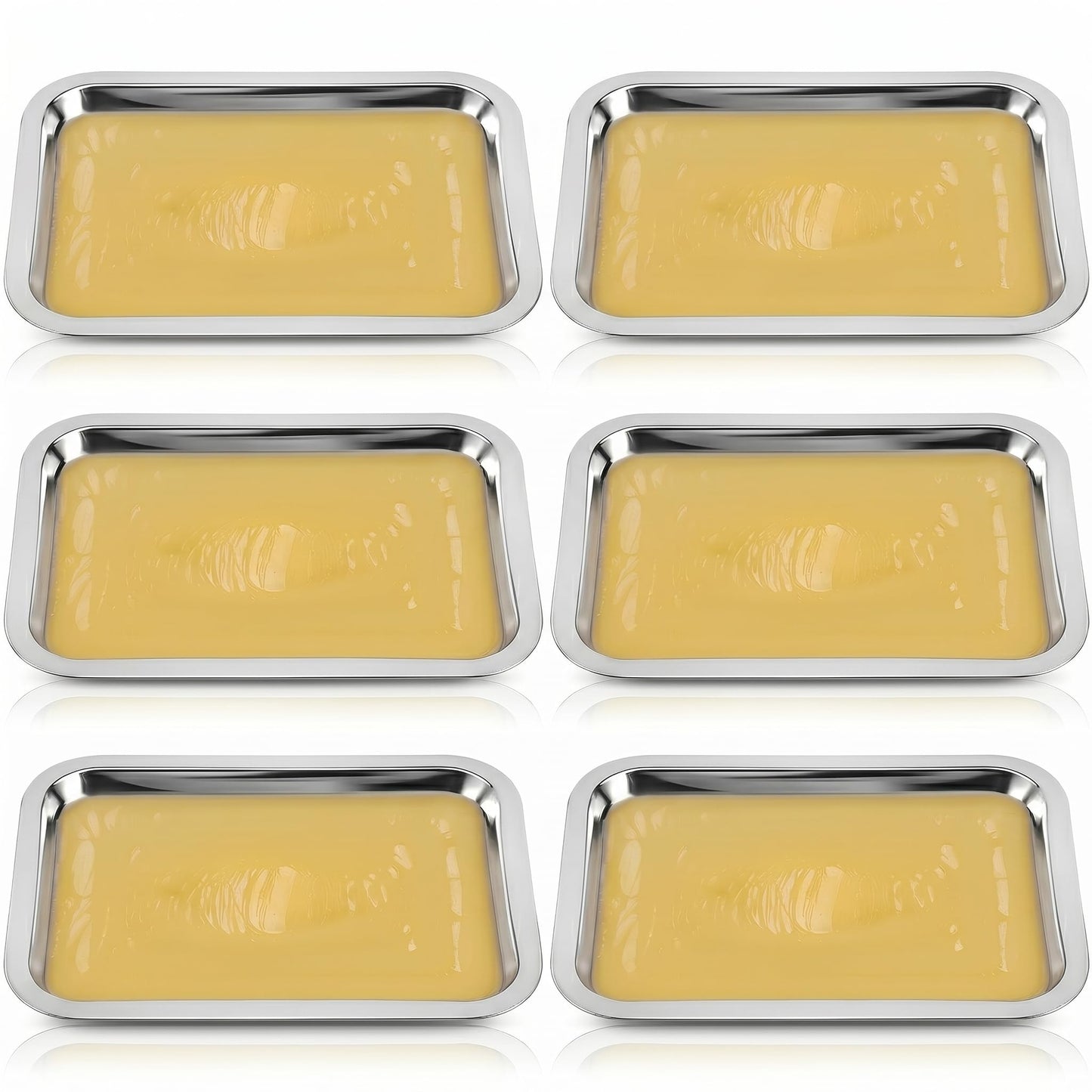 iplusmile 6 Set Dissection Pan with Wax, 10.2" x 7.5" Reusable Thicken Stainless Steels Dissection Kit for Laboratory Science Education & Medical Students Experiments