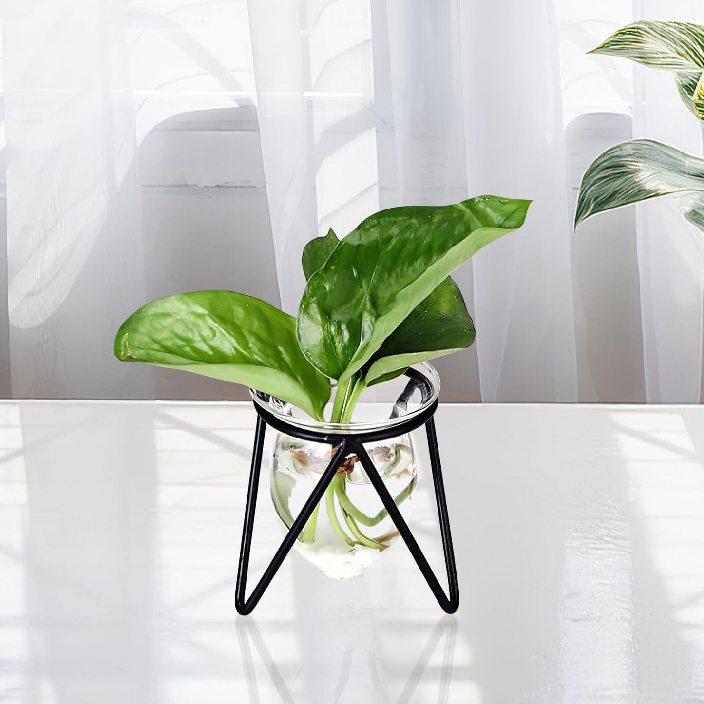 NUOBESTY 6pcs Small Iron Art Flower Stands with Hydroponic Glass Vases for Desktop Plant Decoration and Office Home Hydroponic Terrarium Display