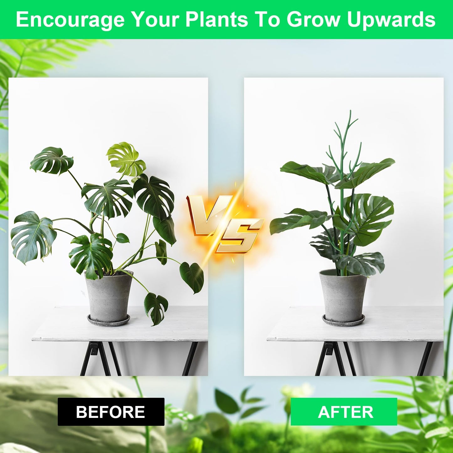 letesult 11 Pack Monstera Plant Support - 71.4" Plant Support Stakes for Indoor Plants Sticks Support Tall Indoor Plant Stakes with Twist Ties Stackable Plant Stem Support for Monstera Plants