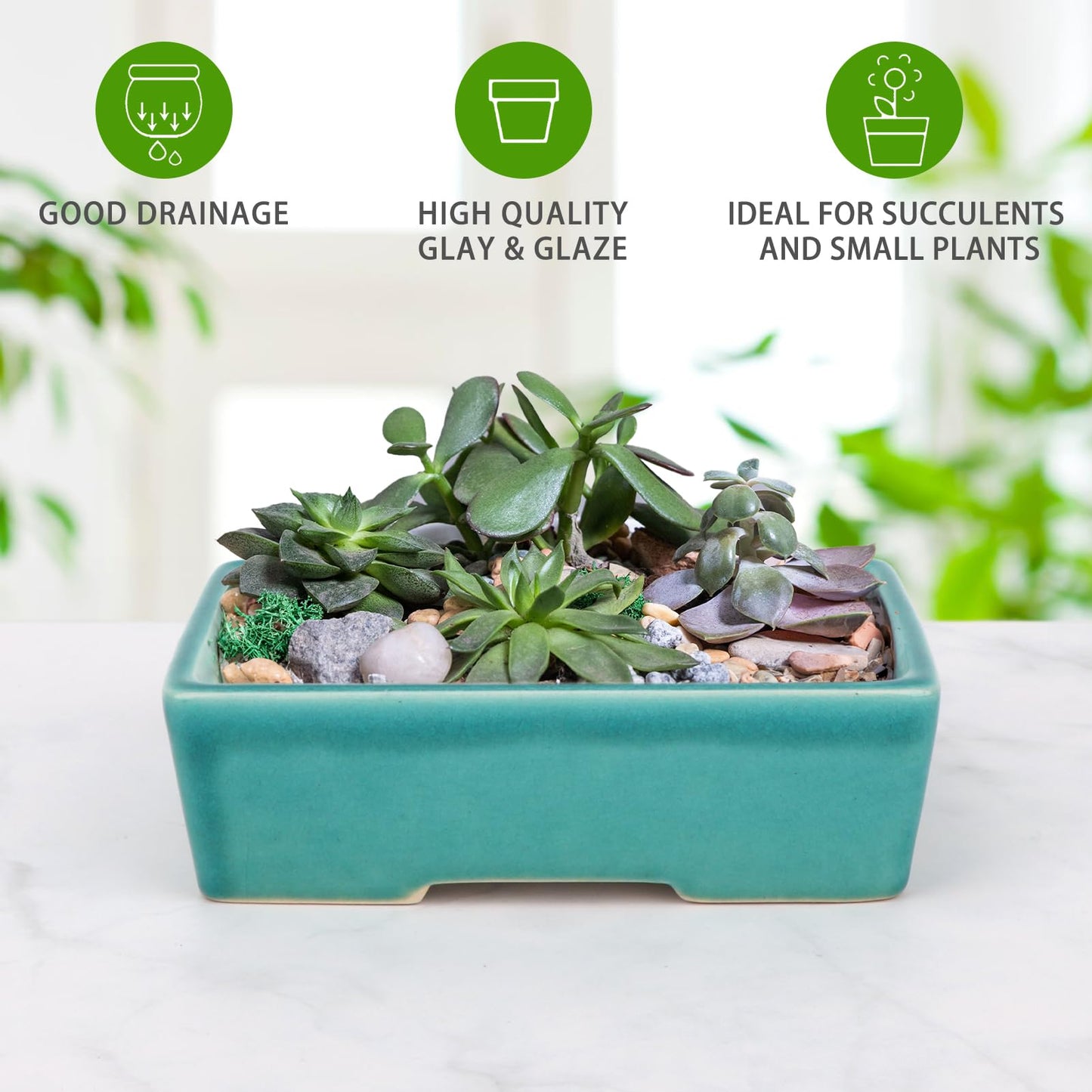 Set of 2 Zisha White Clay Bonsai Pot Glazed Shallow Succulent Planter Blue
