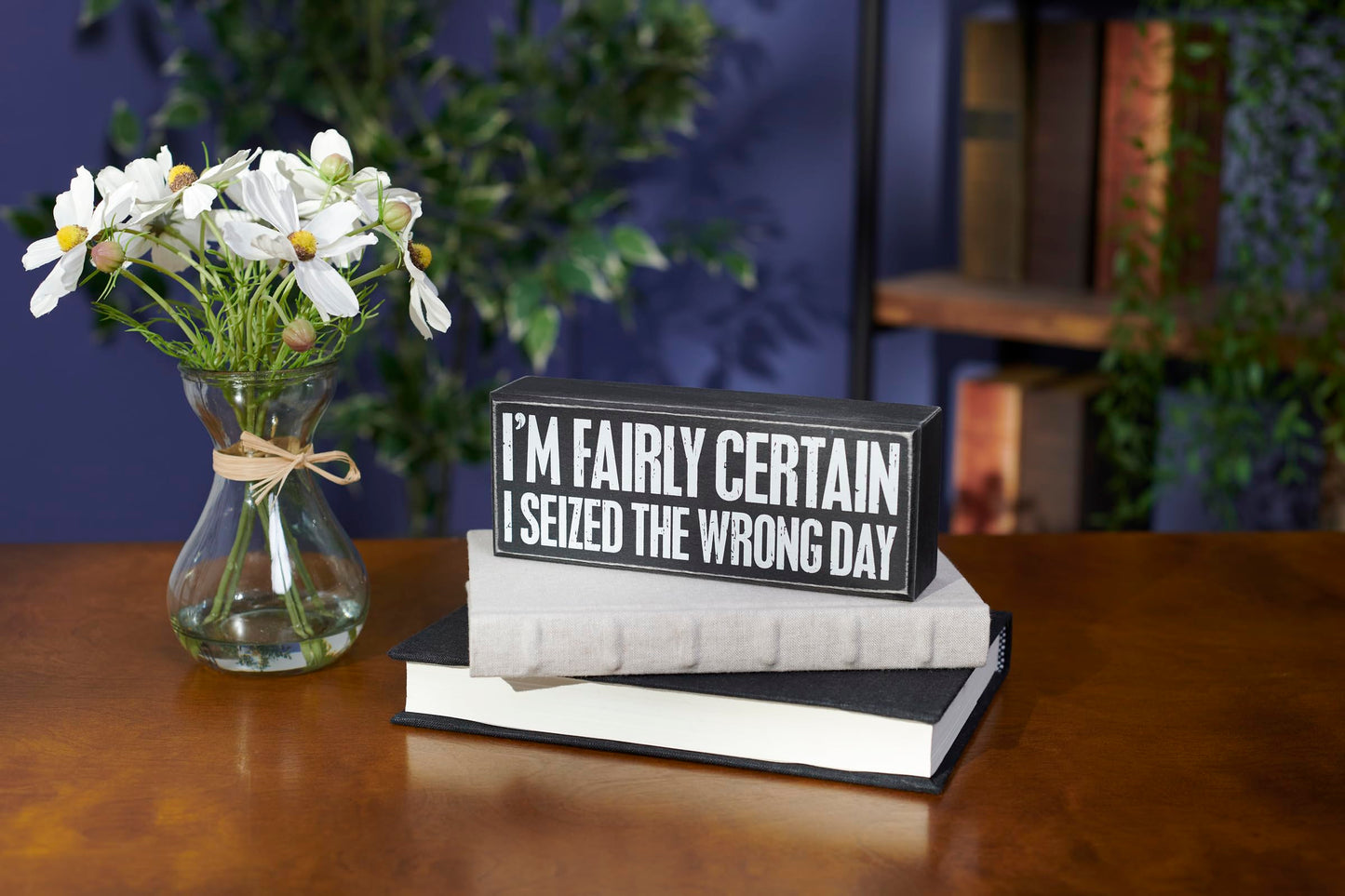 Primitives by Kathy Decorative Wood Box Sign humorous sentiment "I'm Fairly Certain I Seized The Wrong Day/Funny Home décor sign/distressed style/office kitchen shelf table décor/gift