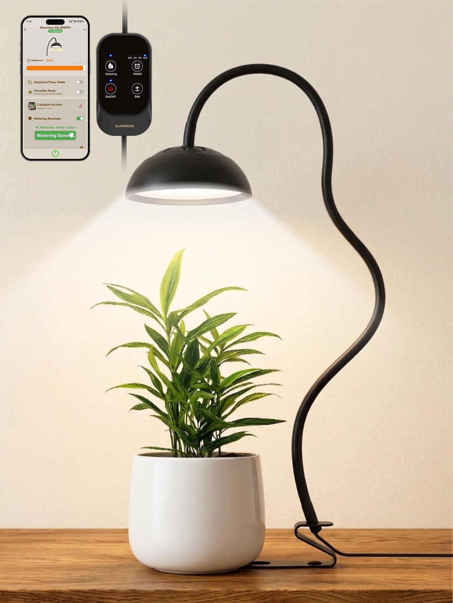GLOWRIUM Smart Grow Lights for Indoor Plants,10W Full Spectrum Plant Lights with Bluetooth App Control, 360° Flexible Gooseneck Grow Lamp, Auto Timer 3/9/12Hrs, 10 Brightness for Small Plants, Black
