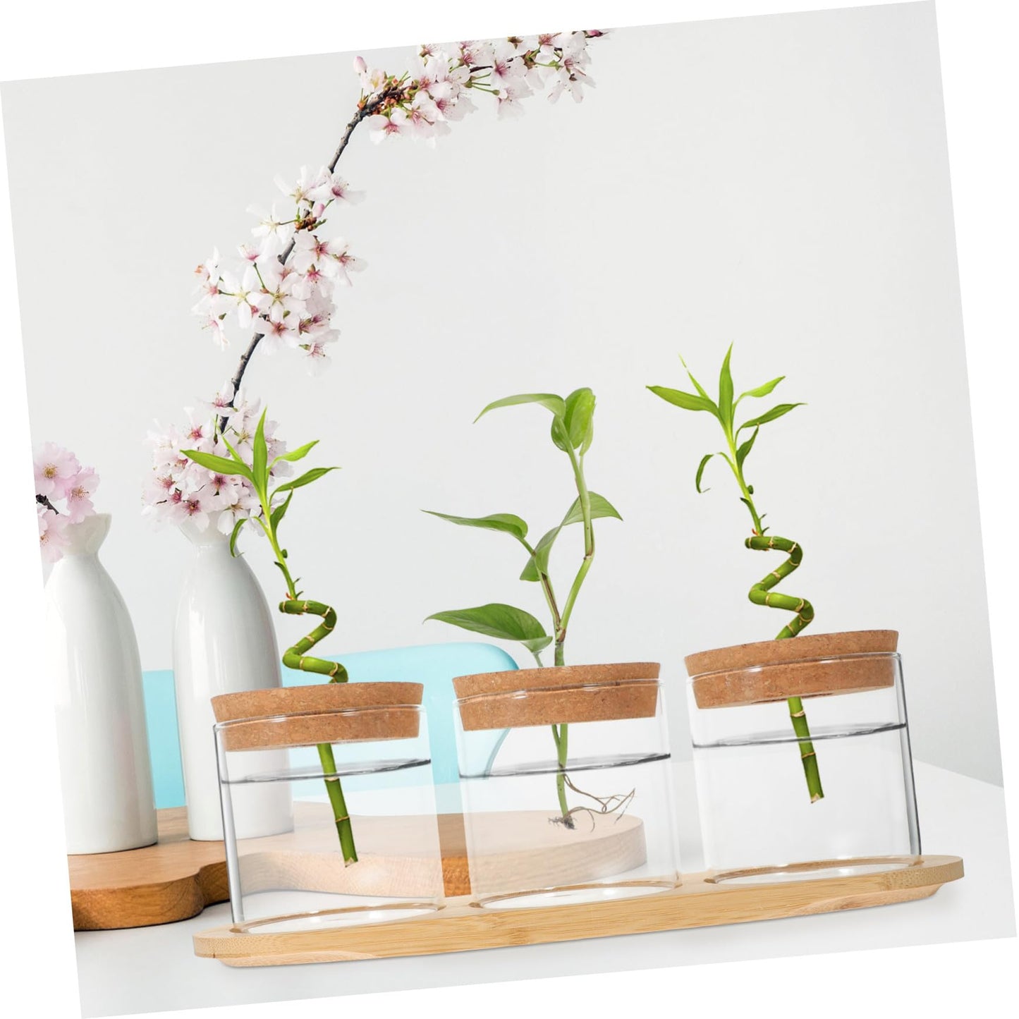 HEMOTON 3-Piece Glass Plant Terrarium Set with Bamboo Stand Hydroponics Planter for Indoor Succulents and Air Plants Decorative Tabletop Vases
