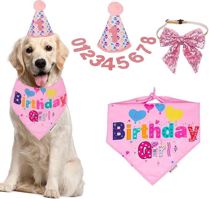 ADOGGYGO Dog Birthday Hat, Pink Birthday Girl Bandana Set, Small