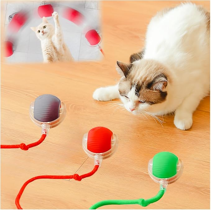 ZONCIHO Interactive Cat Toys for Indoor Cats, Agility Move Cat Balls,Motion Activated Cat Balls, Cat Toys for Bored Indoor Cats（Green）