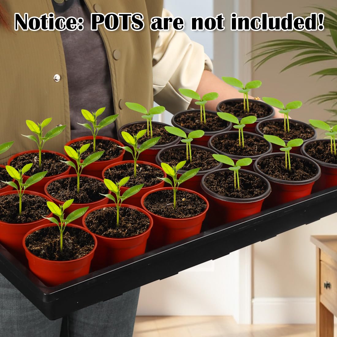 RooTrimmer 1020 Nursery Pot Trays 5 Pack, Plastic Flat Seed Starter Tray, Reusable Seedling Starting Tray for Holding and Carrying Plant Pots (Black)
