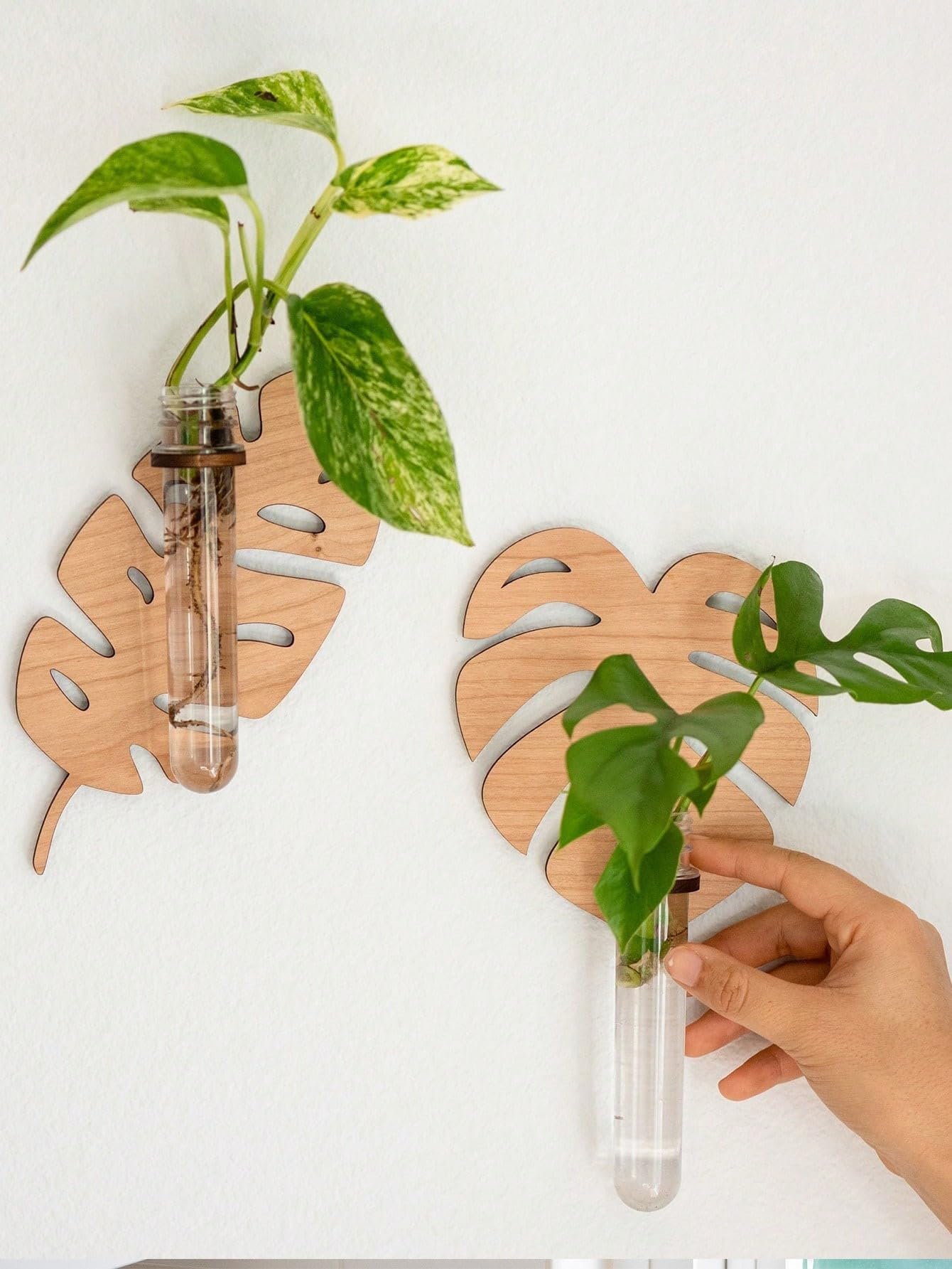 Edgiyuo 2 Pcs Leaf Shape Wooden Wall Planters with Test Tube Vase - Indoor Propagation Station for Home Garden Decor