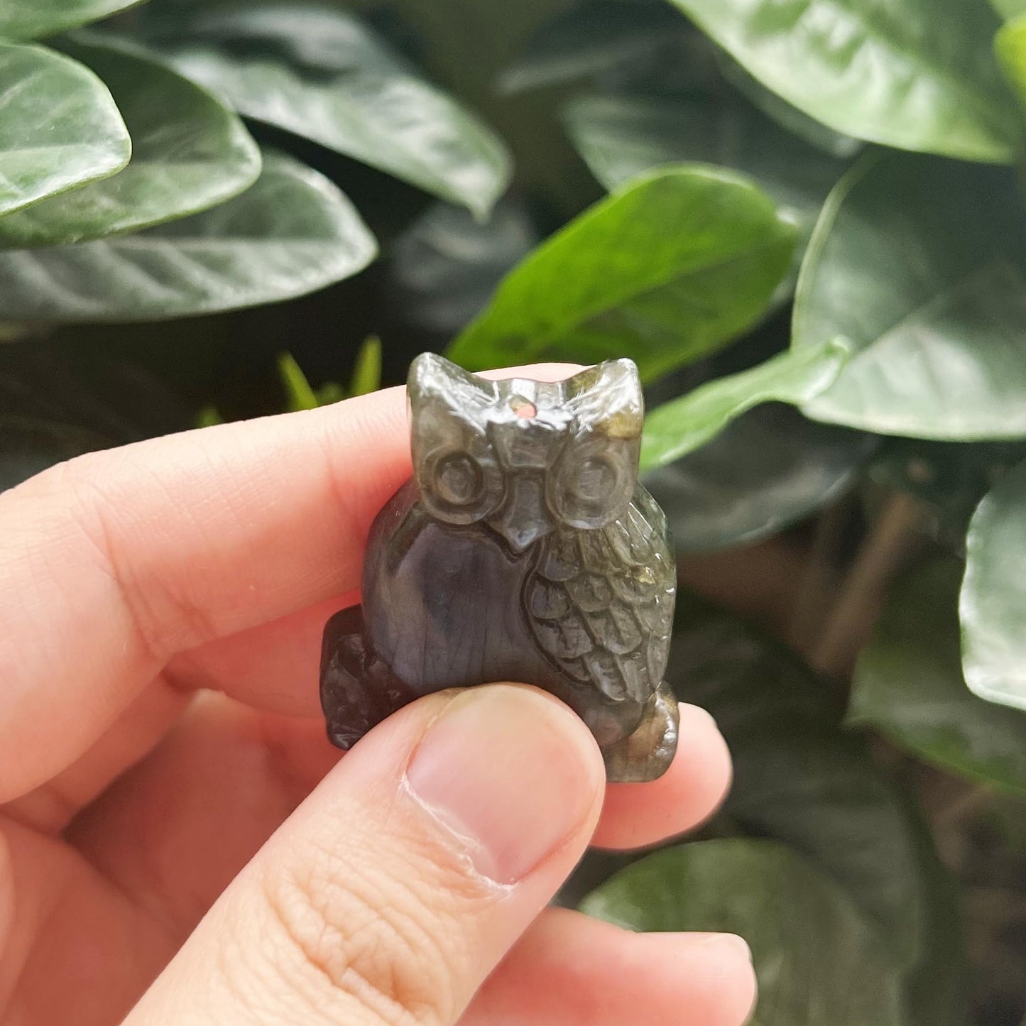 Bacatgem Natural Labradorite Owl Figurines Crystals and Healing Stones,Haped DIY Pendant