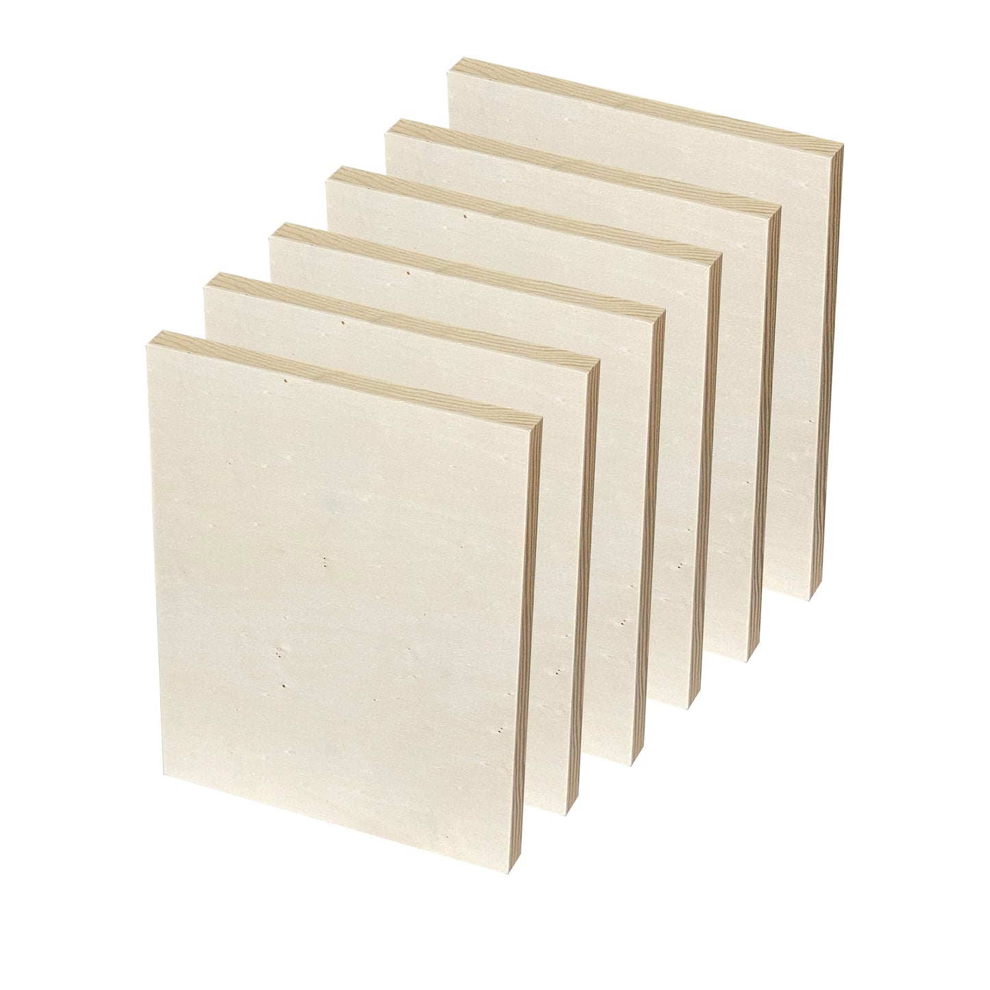9x12 Wood Canvas for Crafts, 6-Pack Framed Wooden Panel Boards for Painting Pouring Crafts