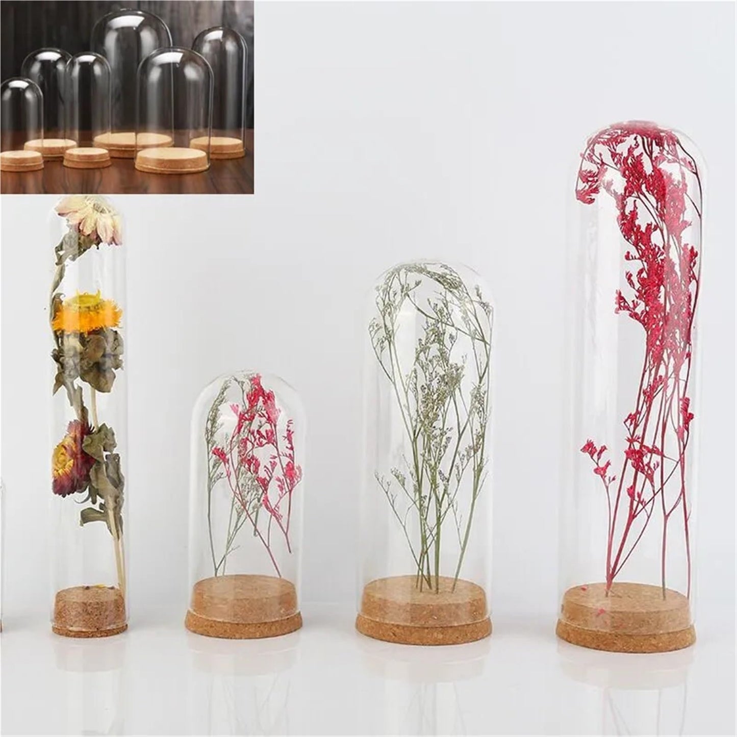 10X Da30mm Glass Bottle Terrarium Jar Cork Base Dome Dust Cover DIY Specimen Succulent Plant Micro Landscape Flower Vase Display(30x40cm)