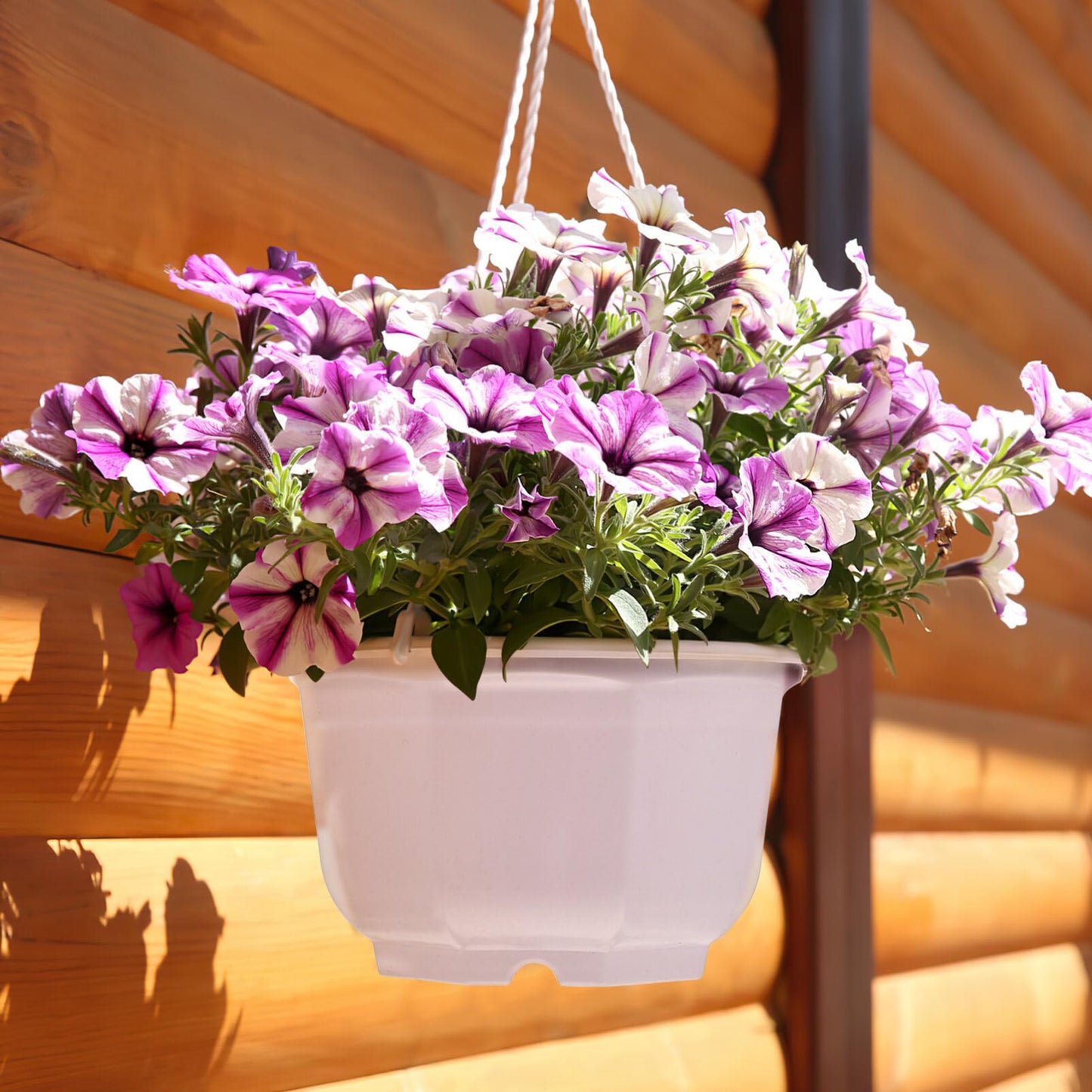 Toddmomy 10Pcs Octagon Plastic Hanging Planters with Drainage Holes for Indoor Plants Balcony Garden Lightweight Hanging Pots with Hooks