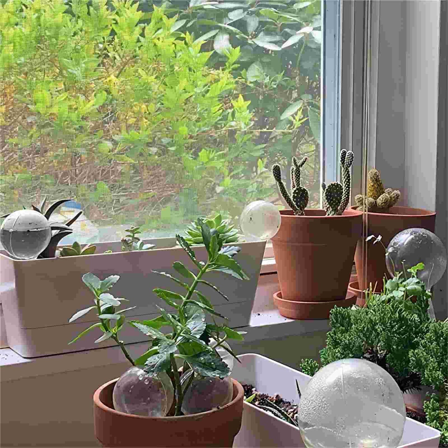 HAKZEON 8 PCS Plant Watering Globes - Large Plastic, Clear Automatic Drip Water Bulbs for Indoor/Outdoor Plants