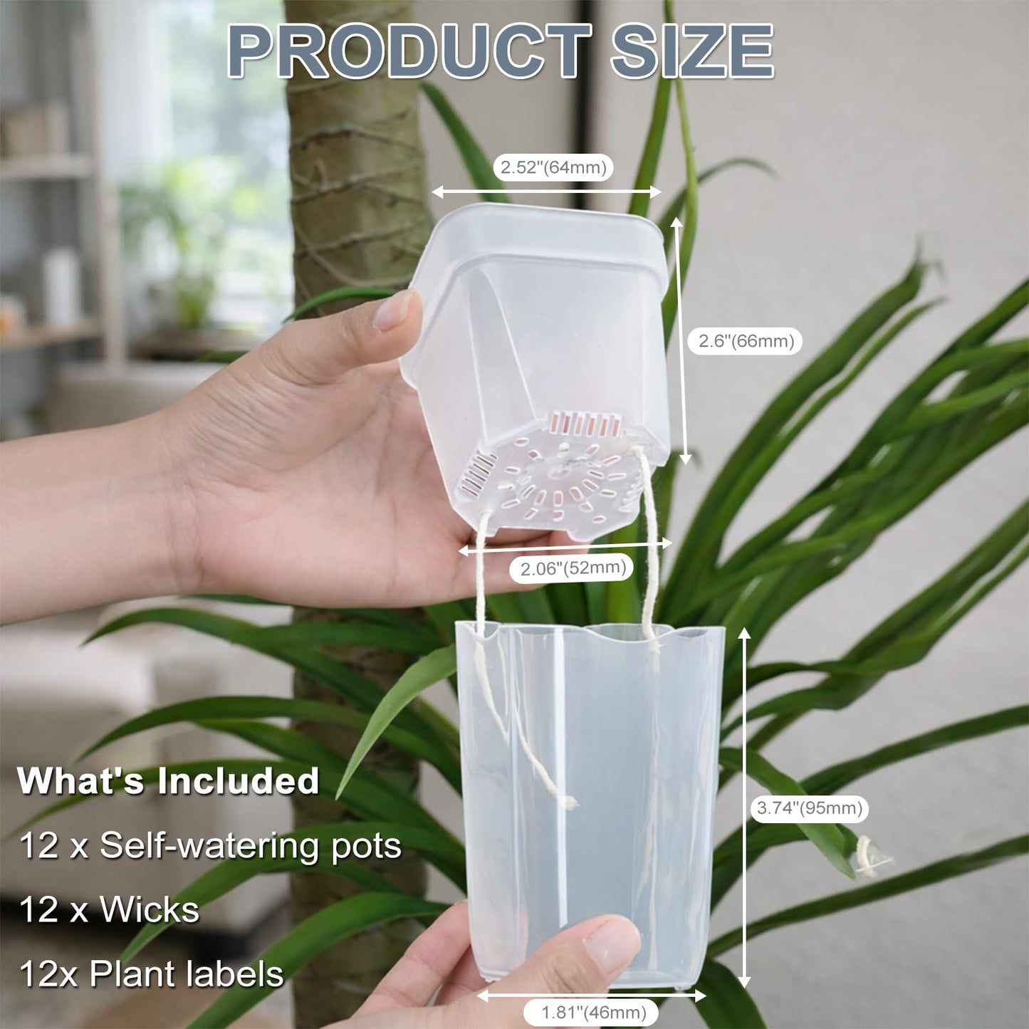 12 Pack 2.5" Small Self Watering Pots for Indoor Plants, Mini Clear Plastic Planters with Water Level & Drainage Holes, 12 Plant Labels, Semi-Hydro Propagation Pots for Succulents, African Violets