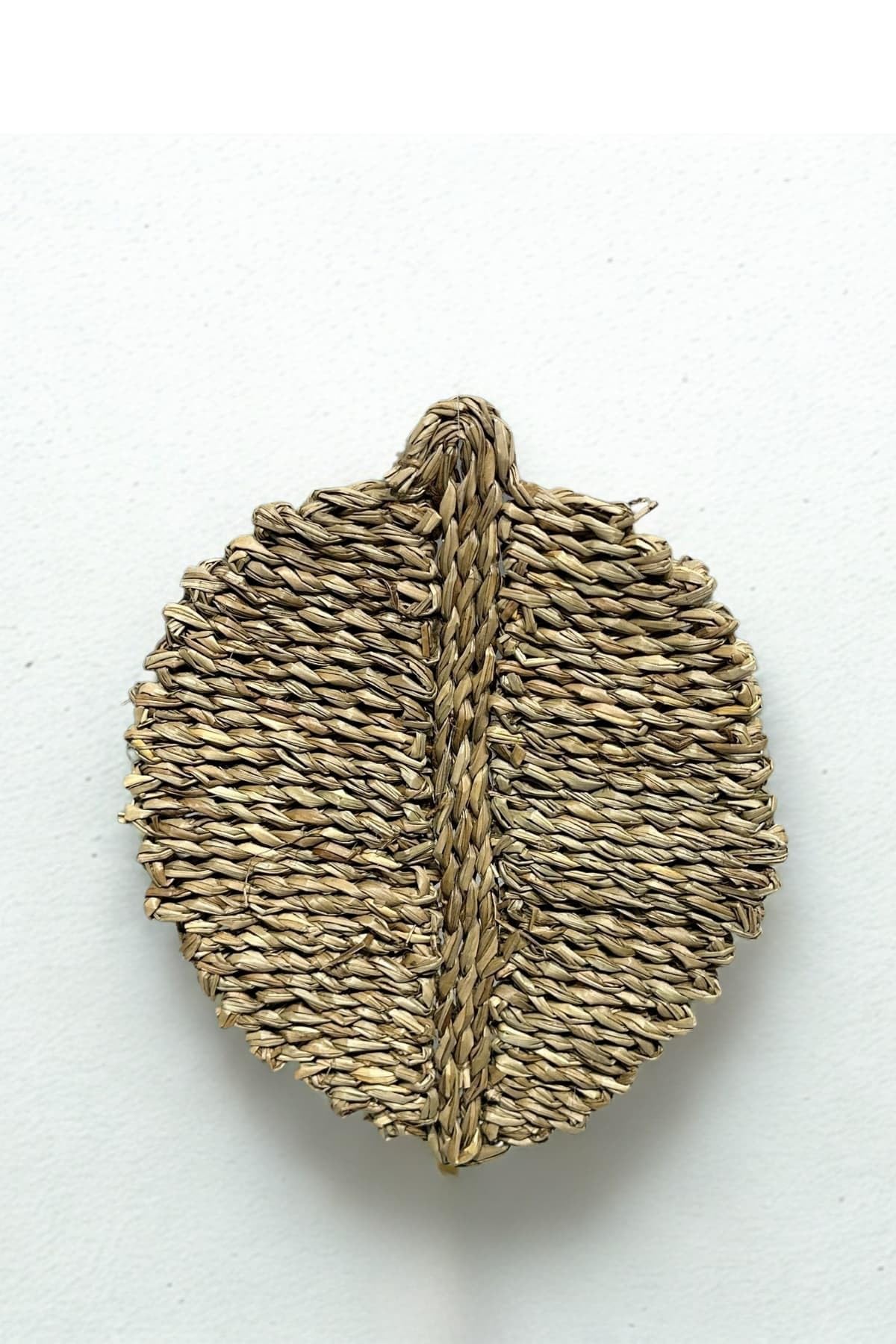 SODEF Handmade Reed Leaf Wall Decor - Bohemian Style Wall Hanging Ornament - Small Size 23 x 18 cm - Beige, 9x7 inch