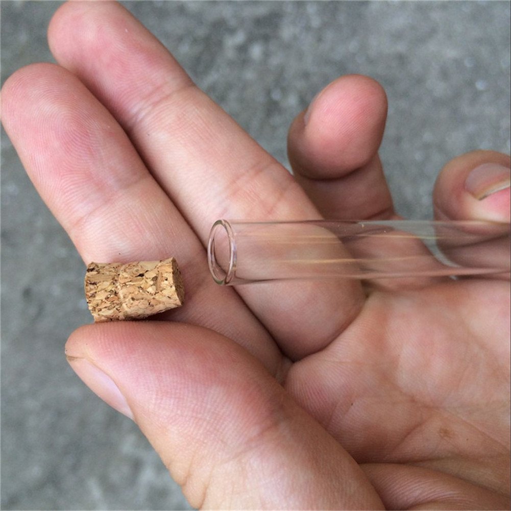 TAI DIAN Mini 4ml Small Glass Vials Jars Test Tube With Cork Stopper Empty Glass Transparent Mason Jars Bottles 100pcs(10x75mm-shiguan)