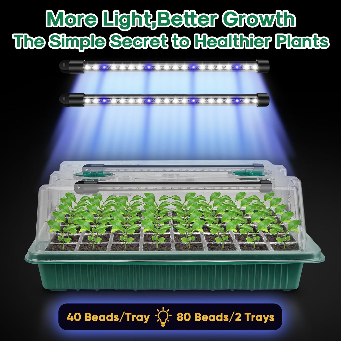 BlumWay Seed Starter Tray with Grow Light,2 Pack 80 Cells Seedling Tray Kit with Humidity Dome/Indoor Plant Starter Kit, Adjustable Brightness Plant Germination Trays-Green