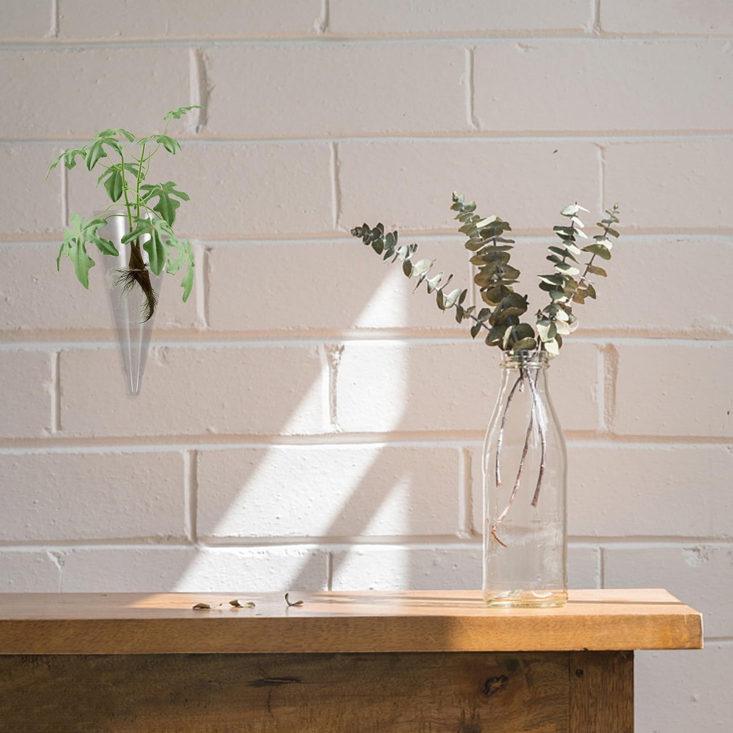 LIFKOME Wall Mounted Glass Shape Vase for Hydroponic Plants Creative Wall Hanging Planter Container Glass Terrarium for Indoor Decoration for Decor