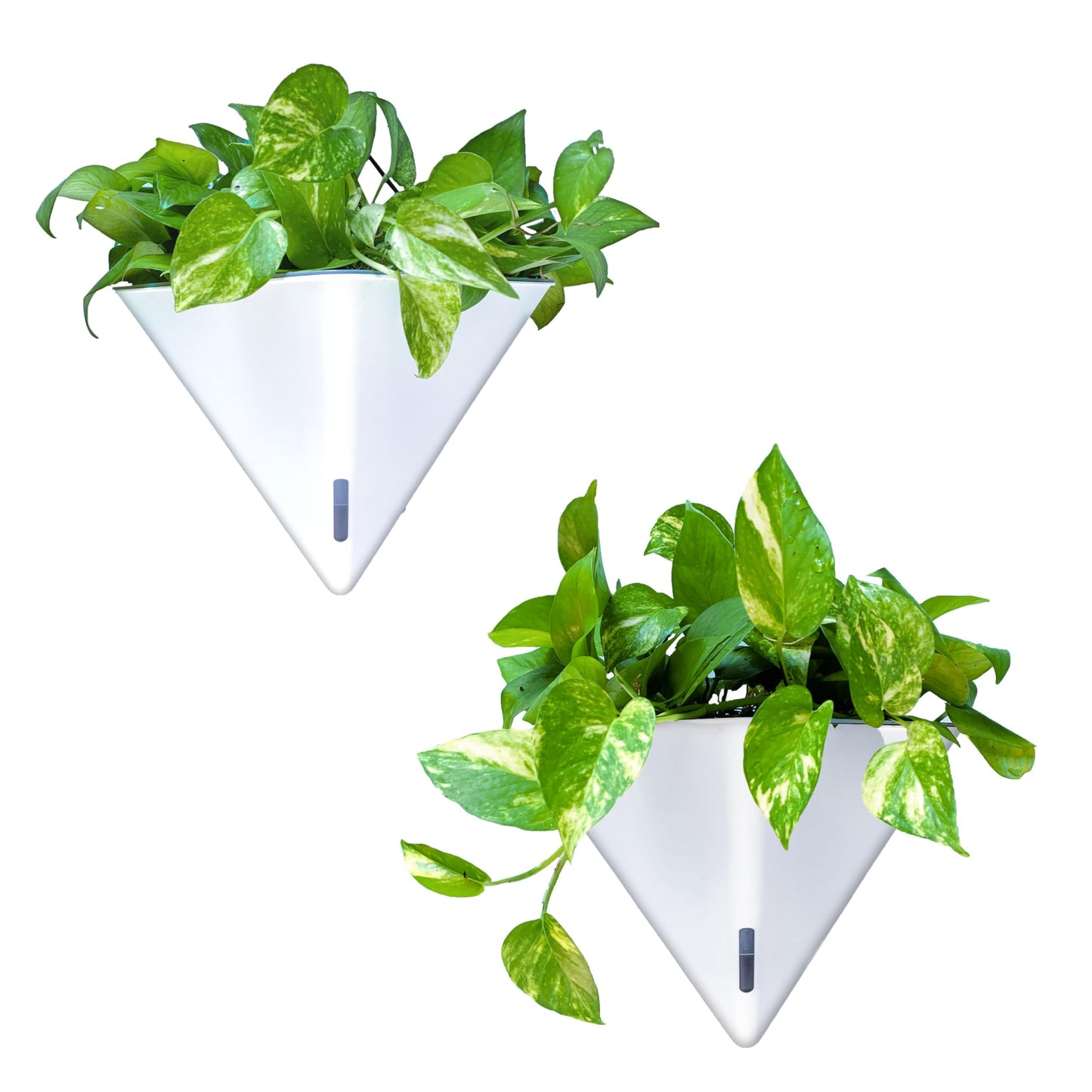 LaLaGreen Wall Planters for Indoor Plants - 2 Pack, 12 Inch Large Self Watering White Geometric Hanging Flower Vase Vessel with Metal Hanger, Modern Stylish Wall Mounted Succulent Pot Holder Decor