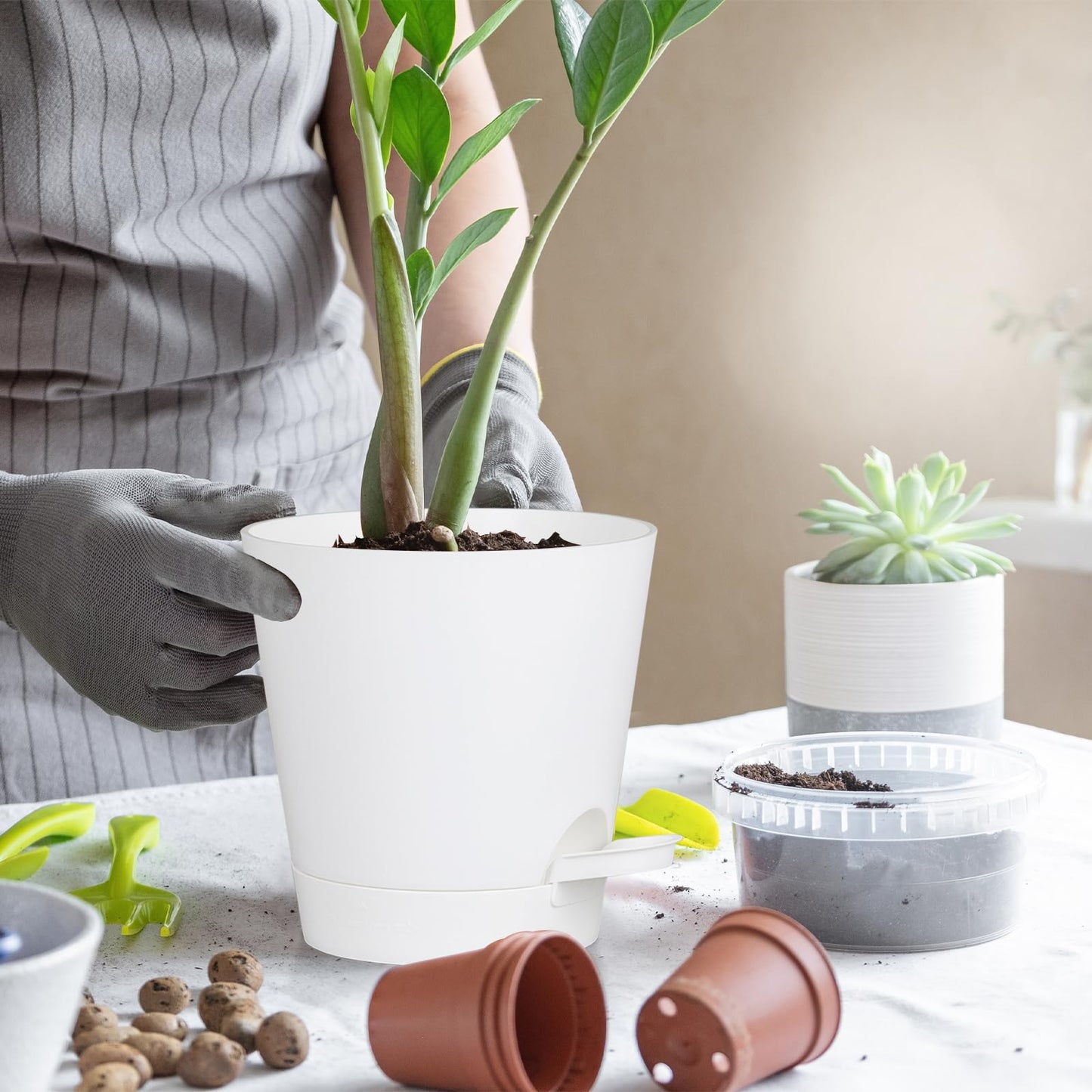 zople 5 Pack 5 inch Self-Watering Pots, African Violets Planter with Drainage Holes and Reservoir, White Plastic Planter for Indoor Outdoor Plants Flowers and Houseplants White, 5 inch 5 pcs