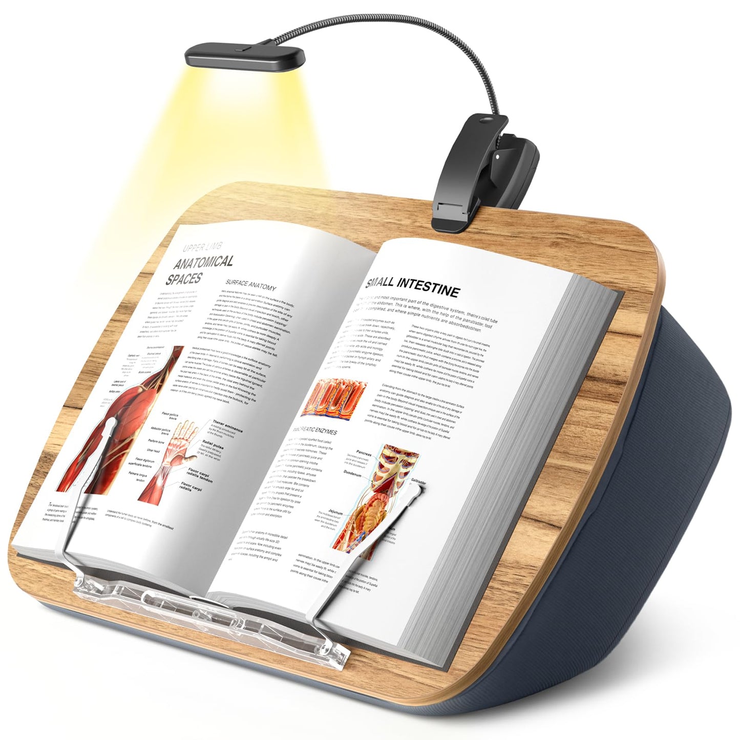ERGONOV Book Pillow Stand with 6500K Reading Light, Hands Free Book Holder, Comfortable Lap Book Stand for Reading in Bed, Desk, or Sofa, Wooden Book Rest for Book Lovers,AAA Battery Required