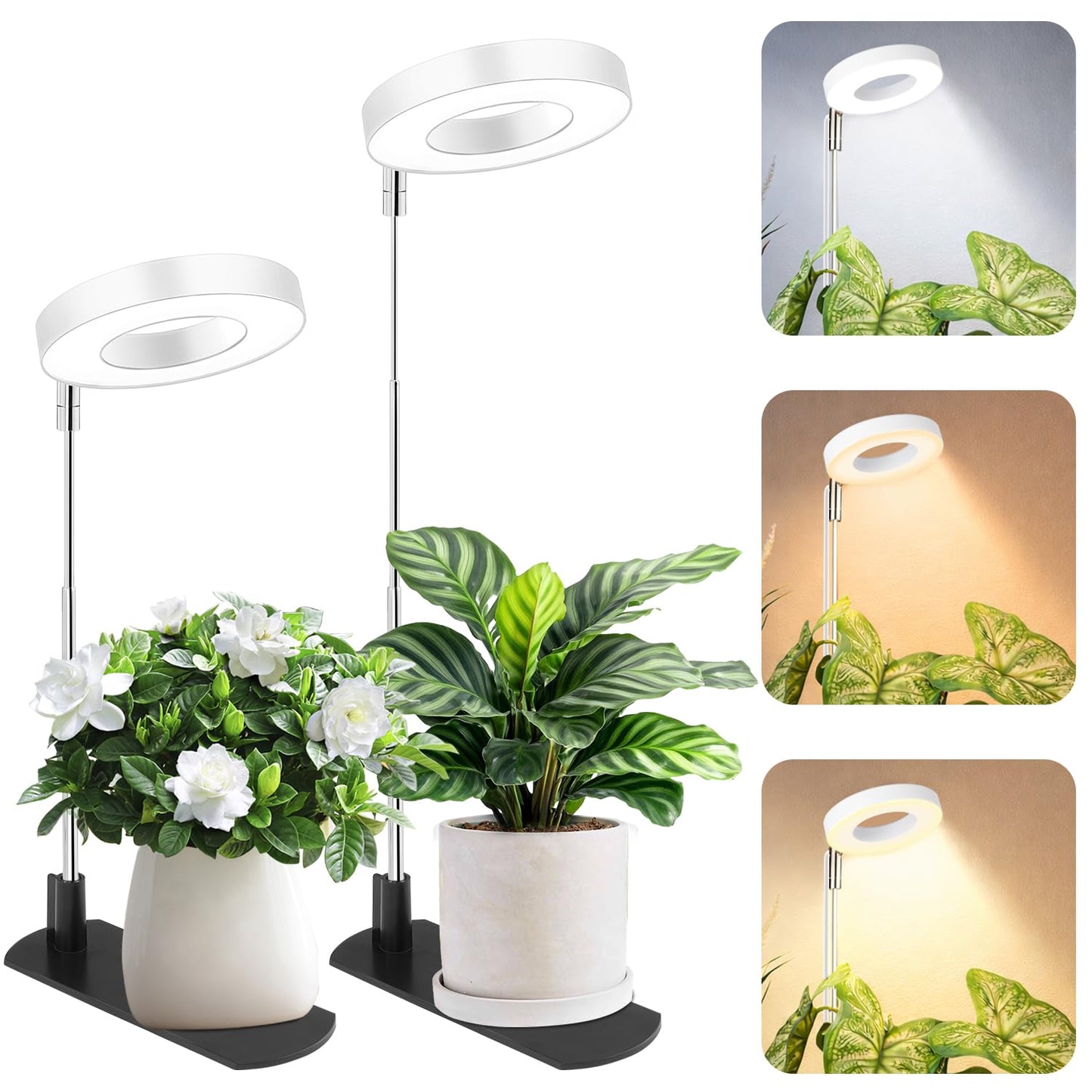 LBW Grow Light for Indoor Plants, Height Adjustable Plant Grow Lamp with Auto On/Off Timer 6/8/12/16H, 3 Colors,5 Dimmable Brightness, for Small Plants, White, 2 Packs