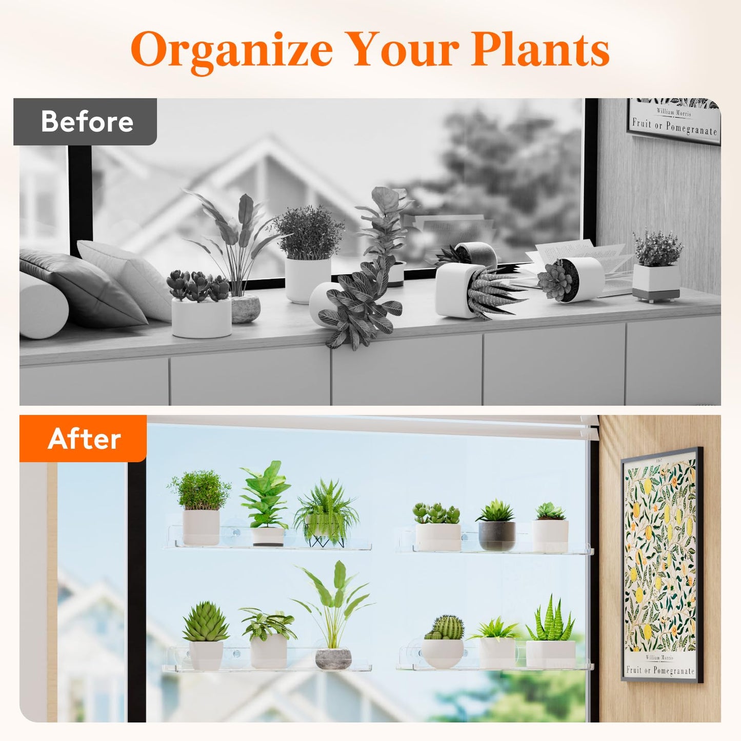 Lifewit Window Plant Floating Shelves 14.6x3.6, 4 Pack Acrylic Suction Cup Shelf, Window Sill Extender for Indoor Succulent Plants, Micro Greens, Seed Starter Pots, Herb Planters 37 x 9 cm/14.6x3.6
