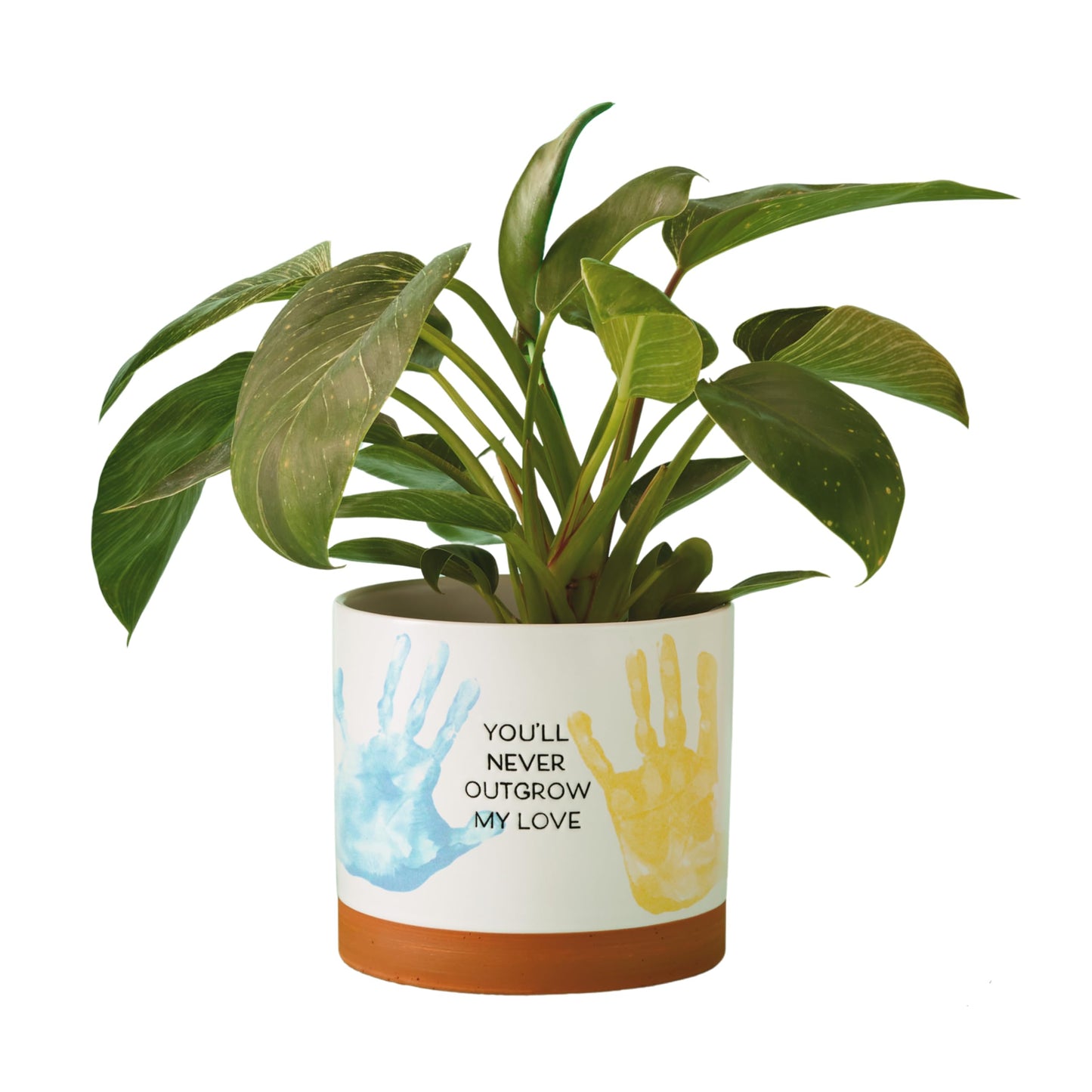 Hallmark Planter Handprint Kit (Never Outgrow My Love) Gift for Mom, Dad, Grandparent for Mother's Day, Father's Day